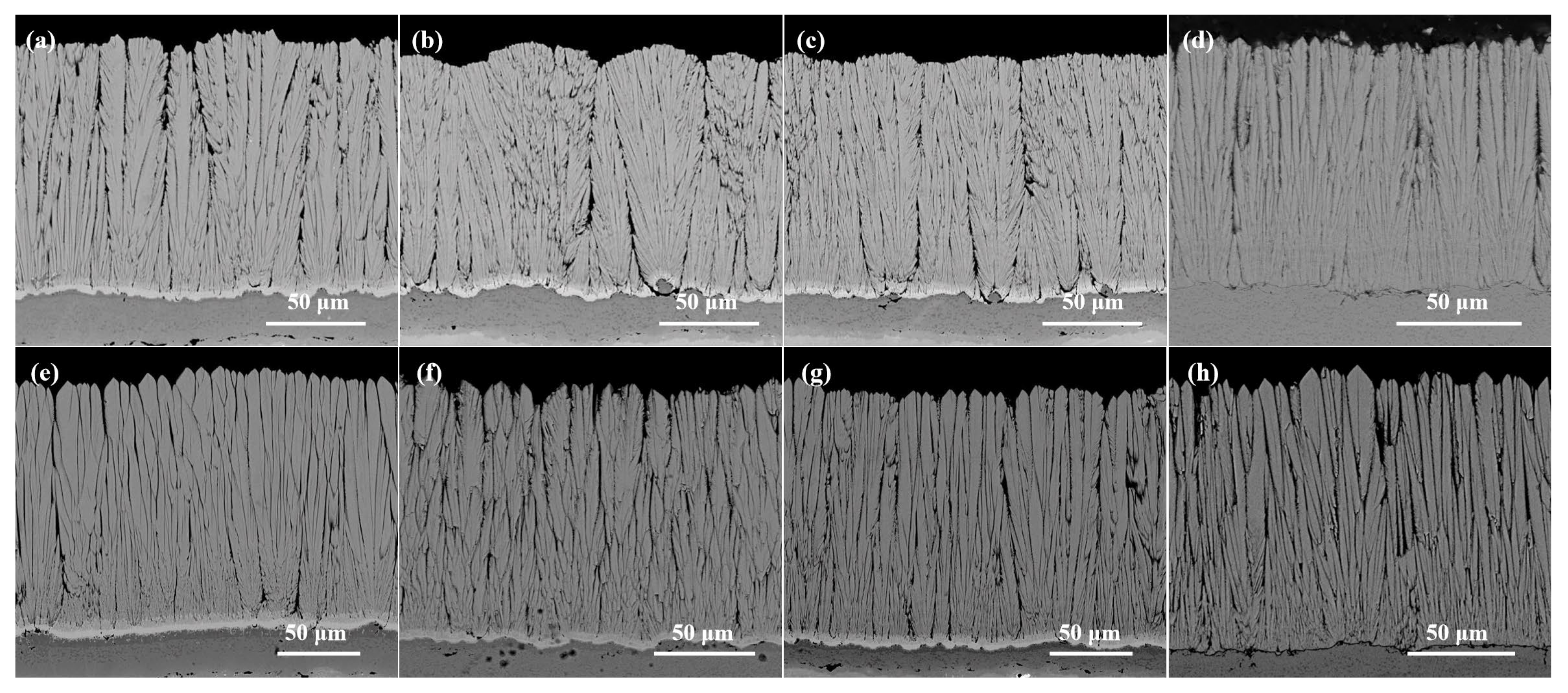 Coatings 15 00928 g001 Coatings 15 00928 g001