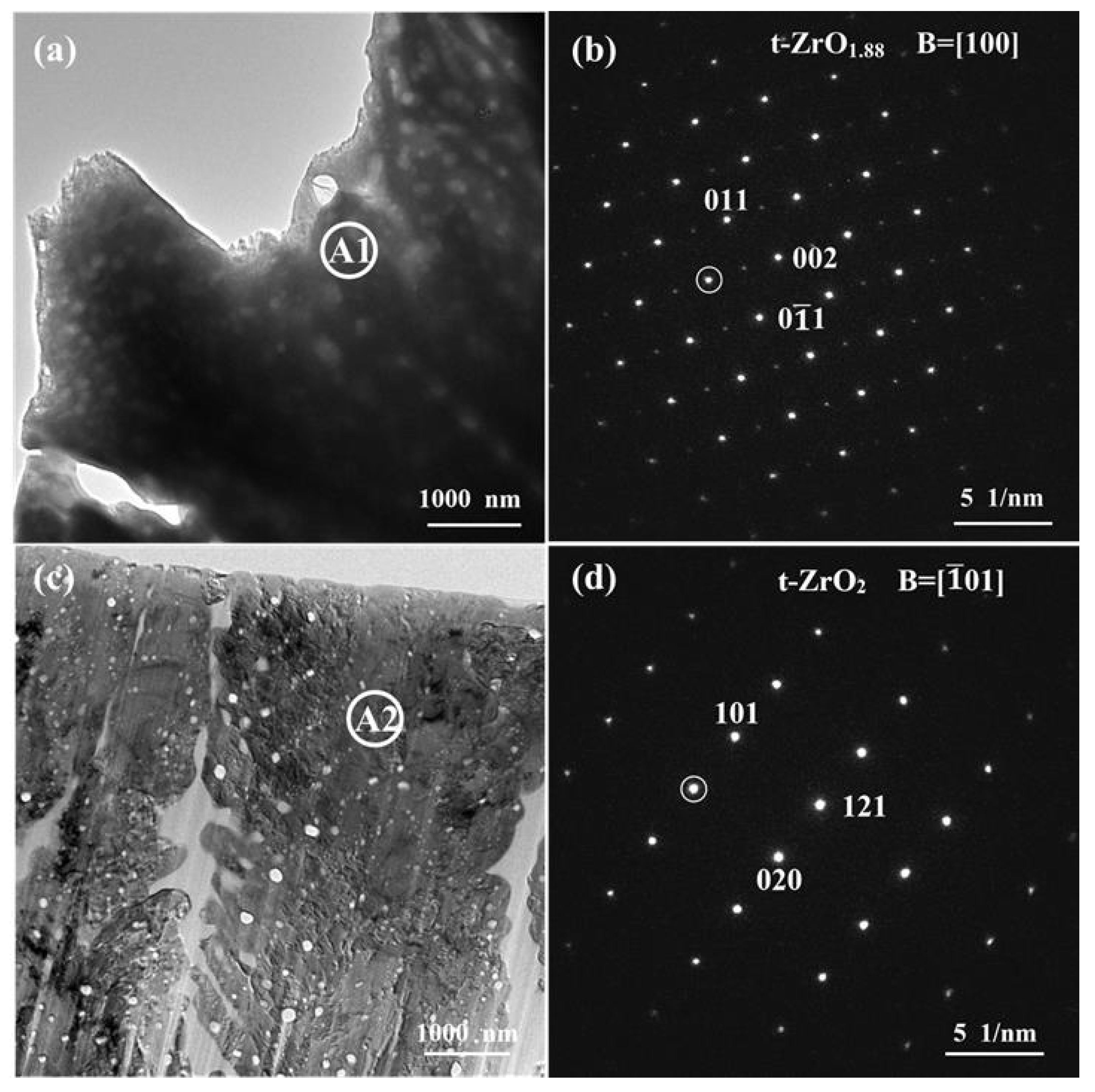 Coatings 15 00928 g004 Coatings 15 00928 g004