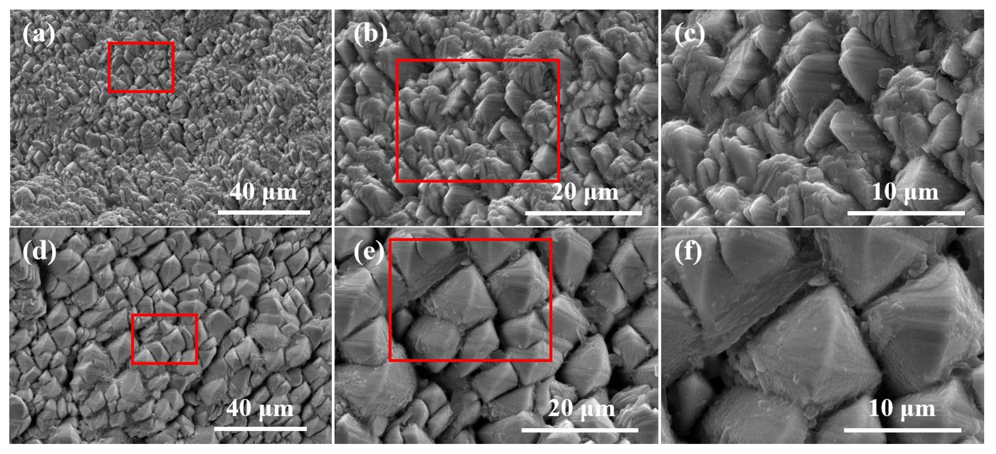 Coatings 15 00928 g005 Coatings 15 00928 g005