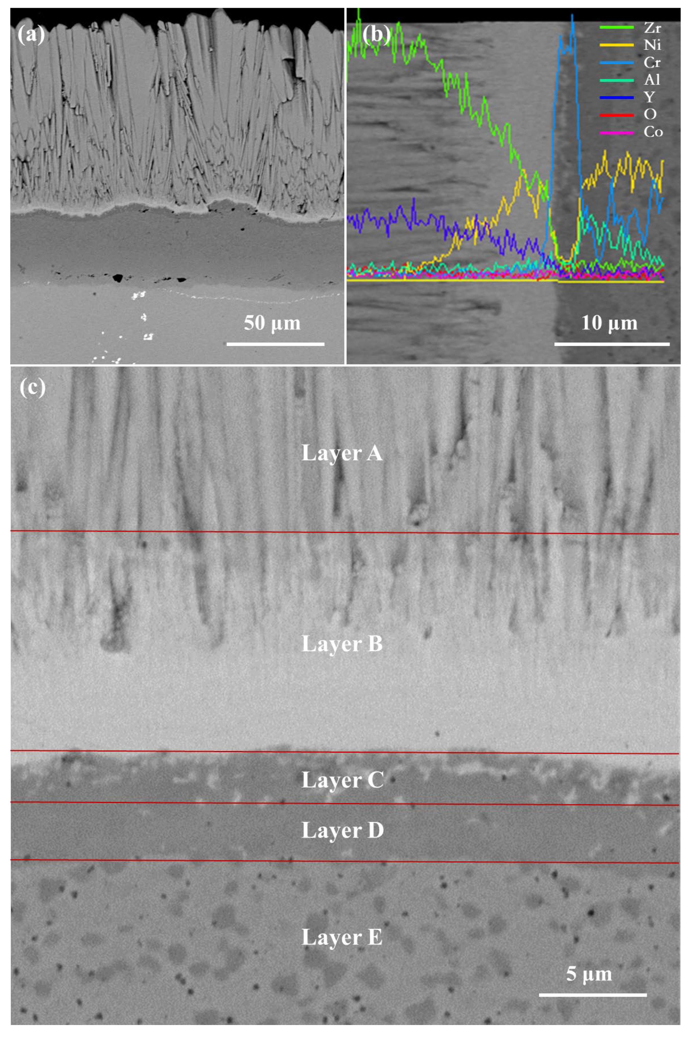 Coatings 15 00928 g007 Coatings 15 00928 g007