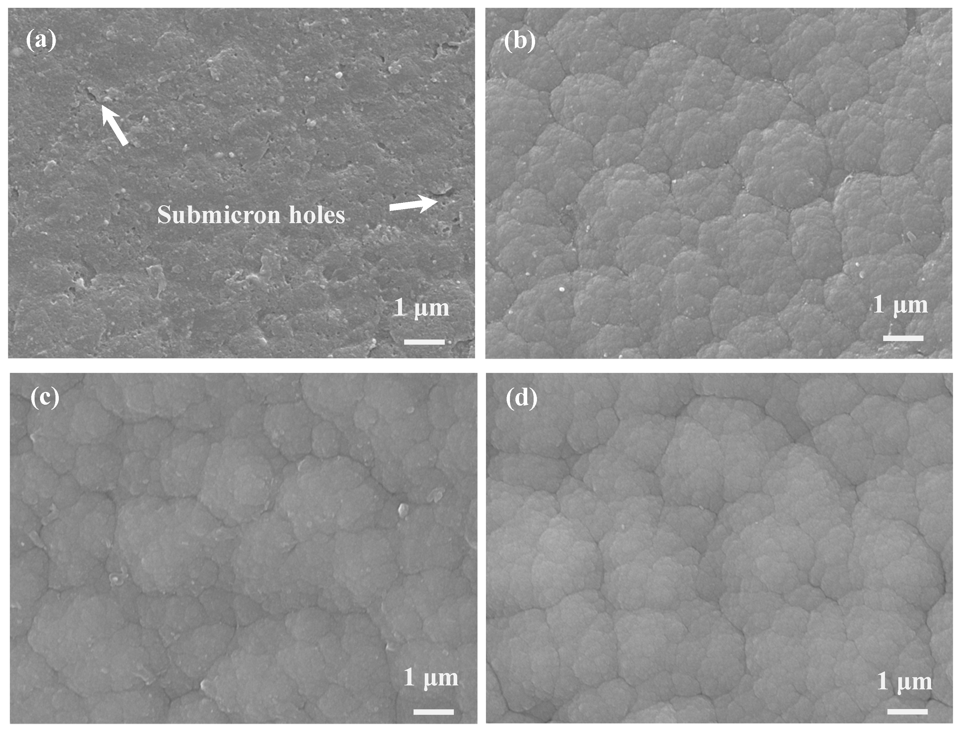 Coatings 15 00930 g002