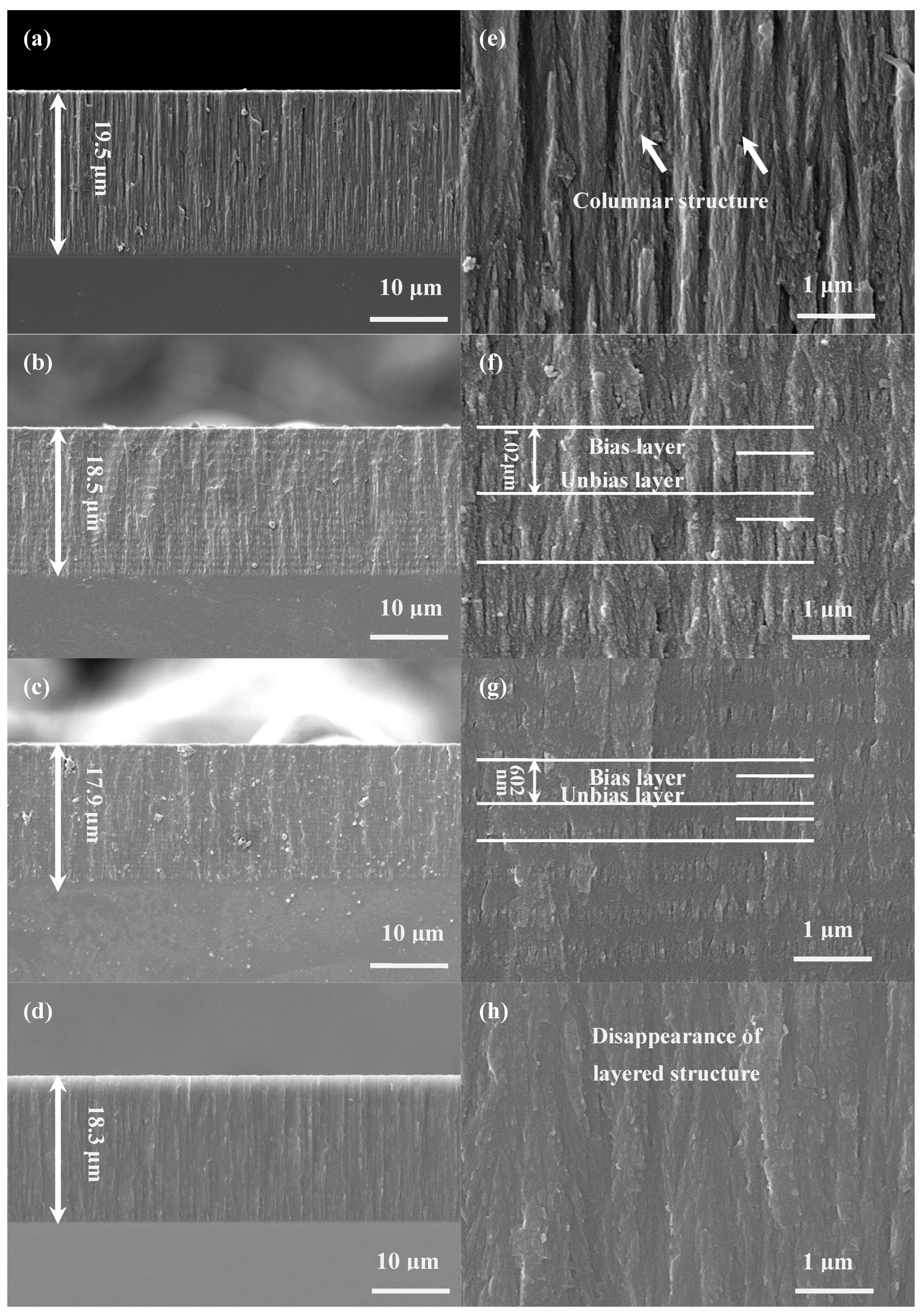 Coatings 15 00930 g003