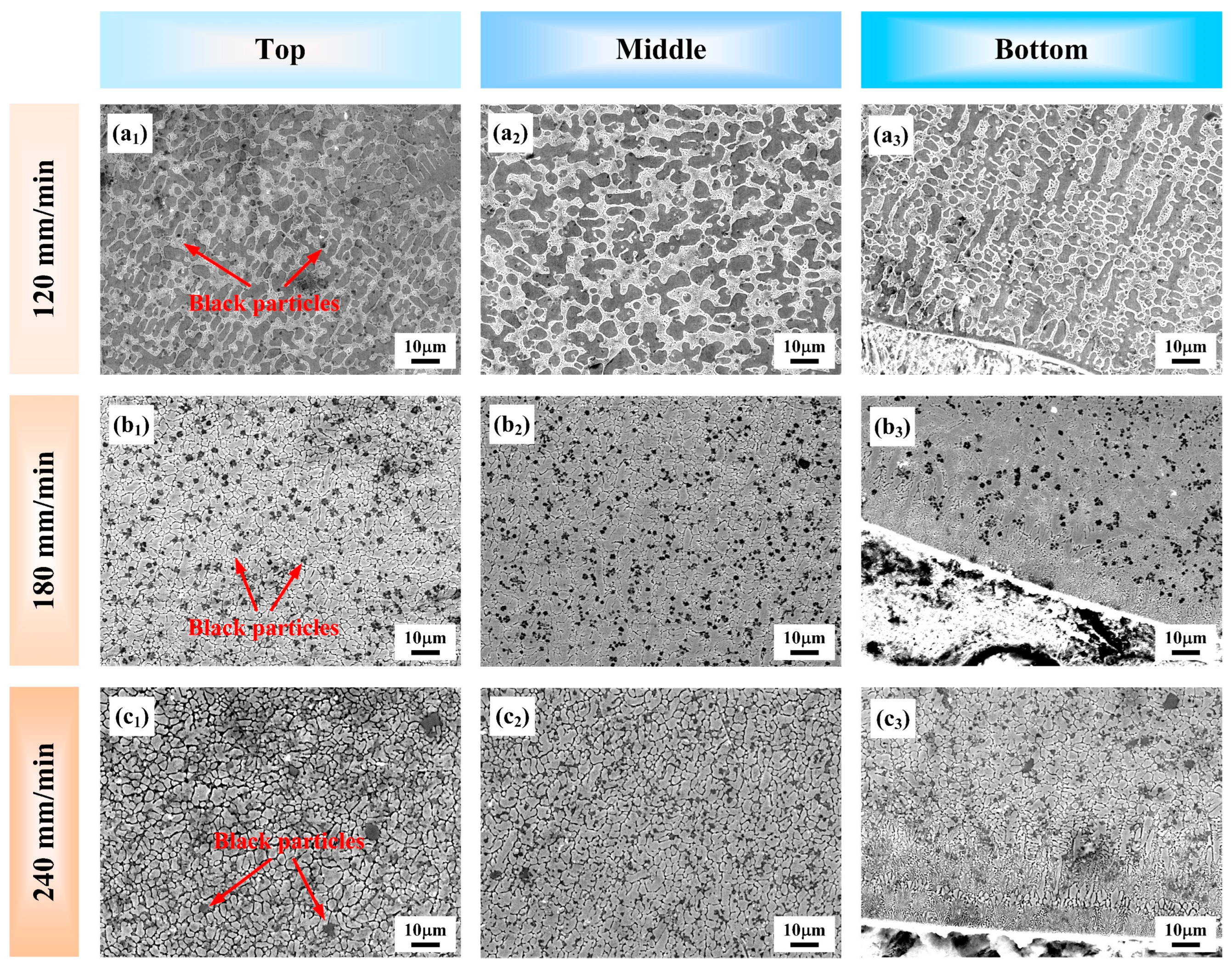 Coatings 15 00932 g004