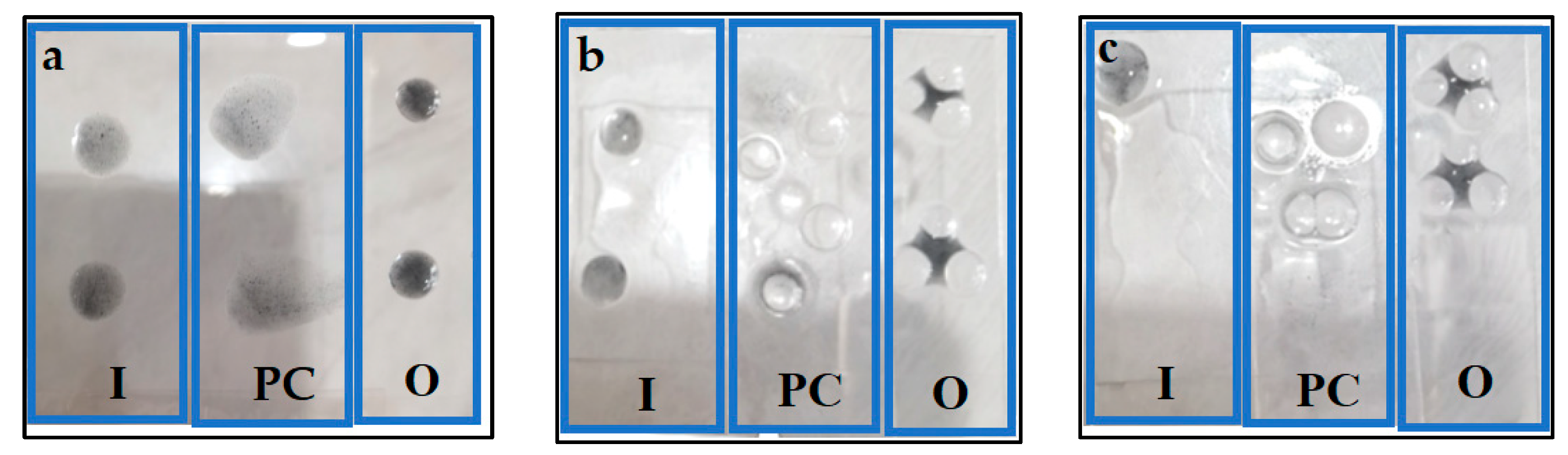 Coatings 15 00936 g008 Coatings 15 00936 g008