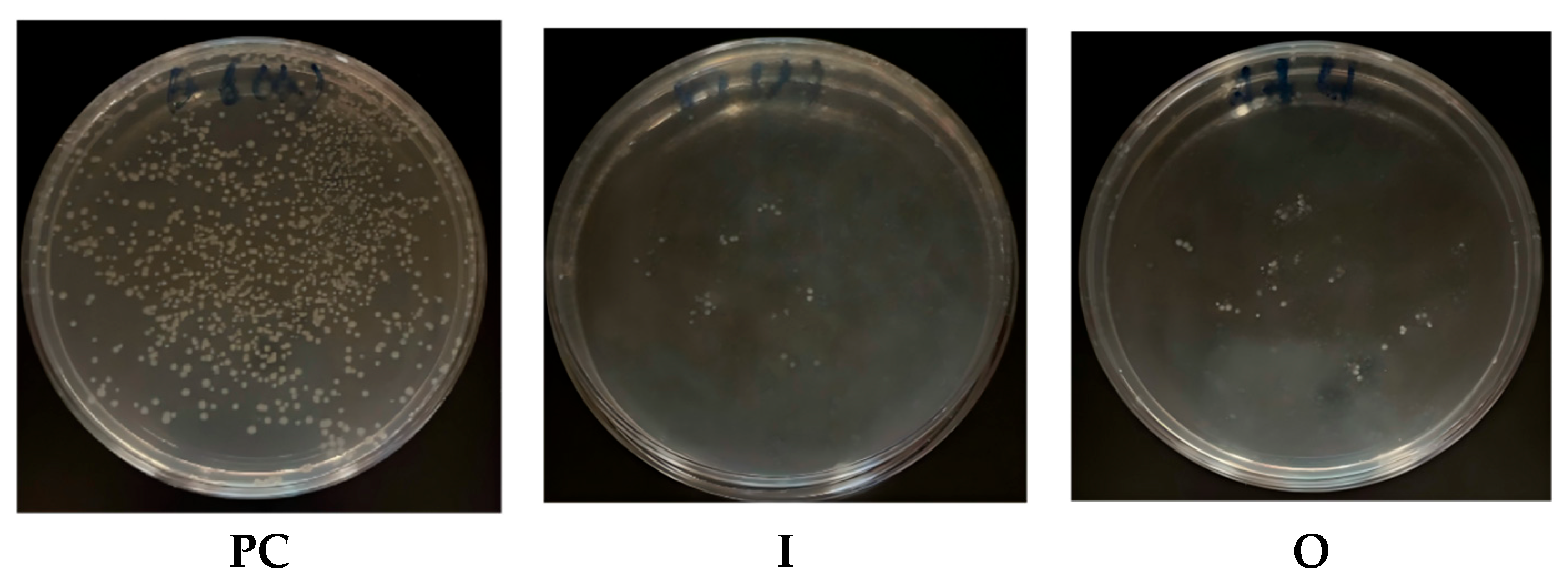 Coatings 15 00936 g010 Coatings 15 00936 g010