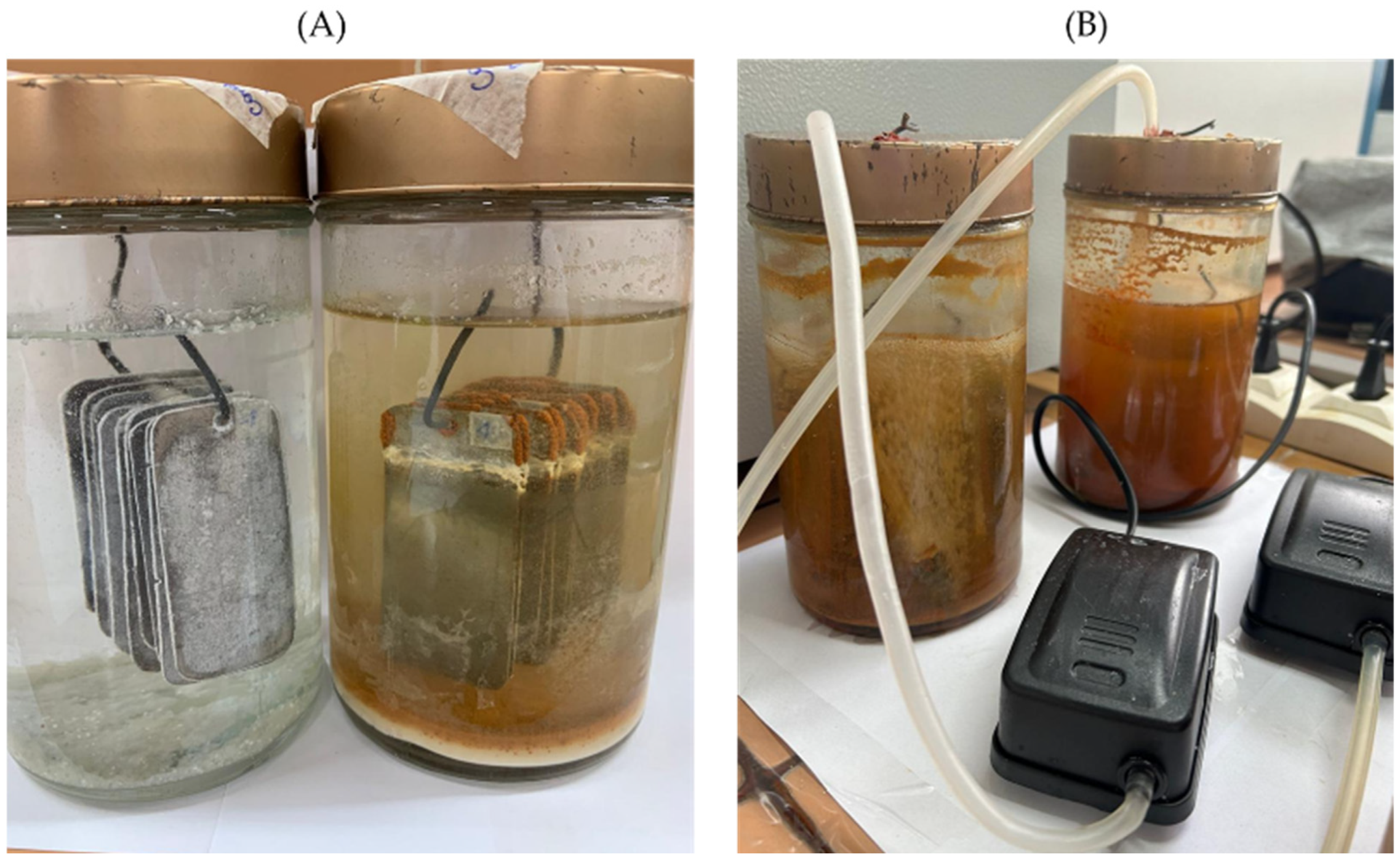 Coatings 15 00937 g001 Coatings 15 00937 g001