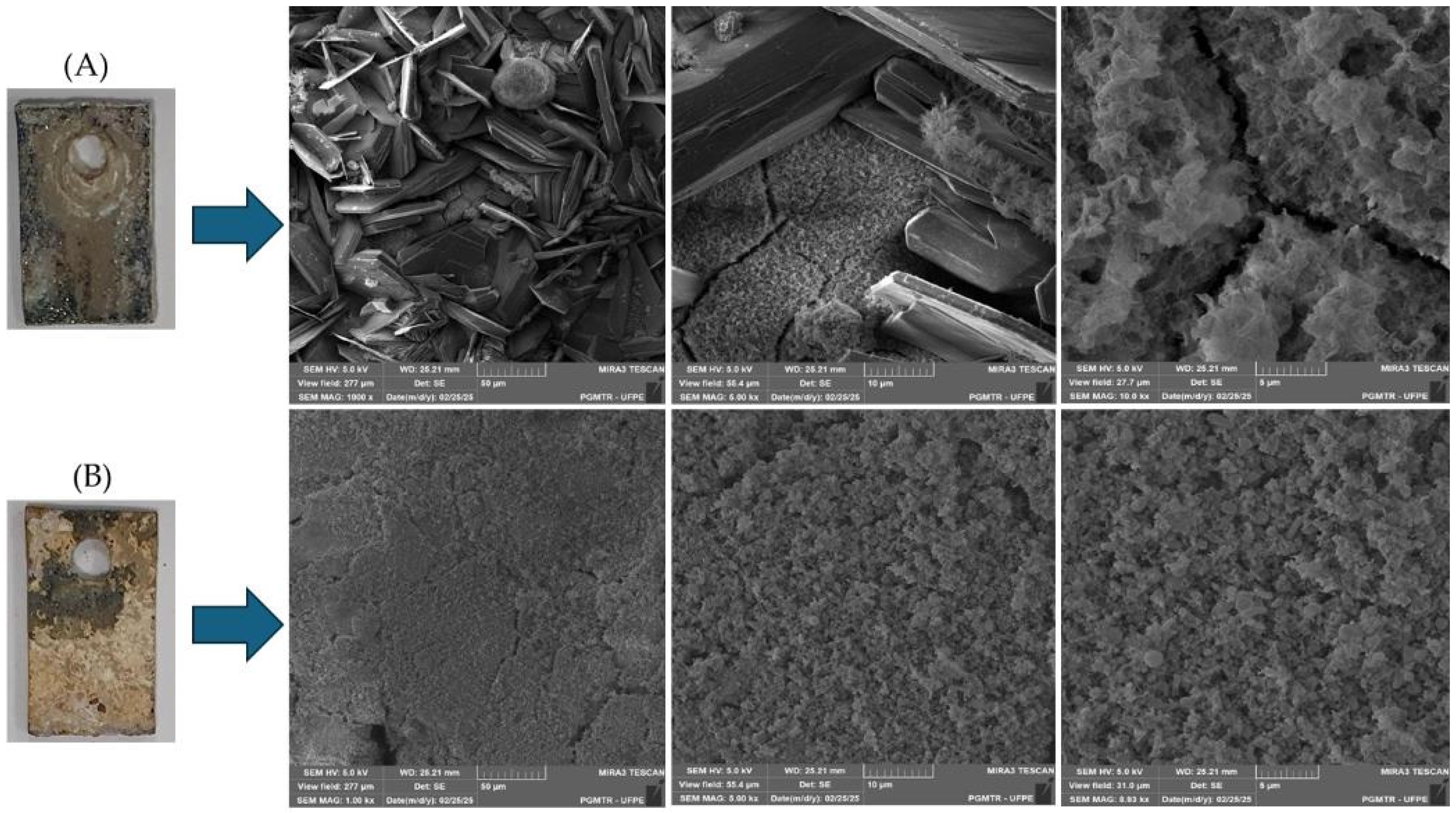 Coatings 15 00937 g007 Coatings 15 00937 g007