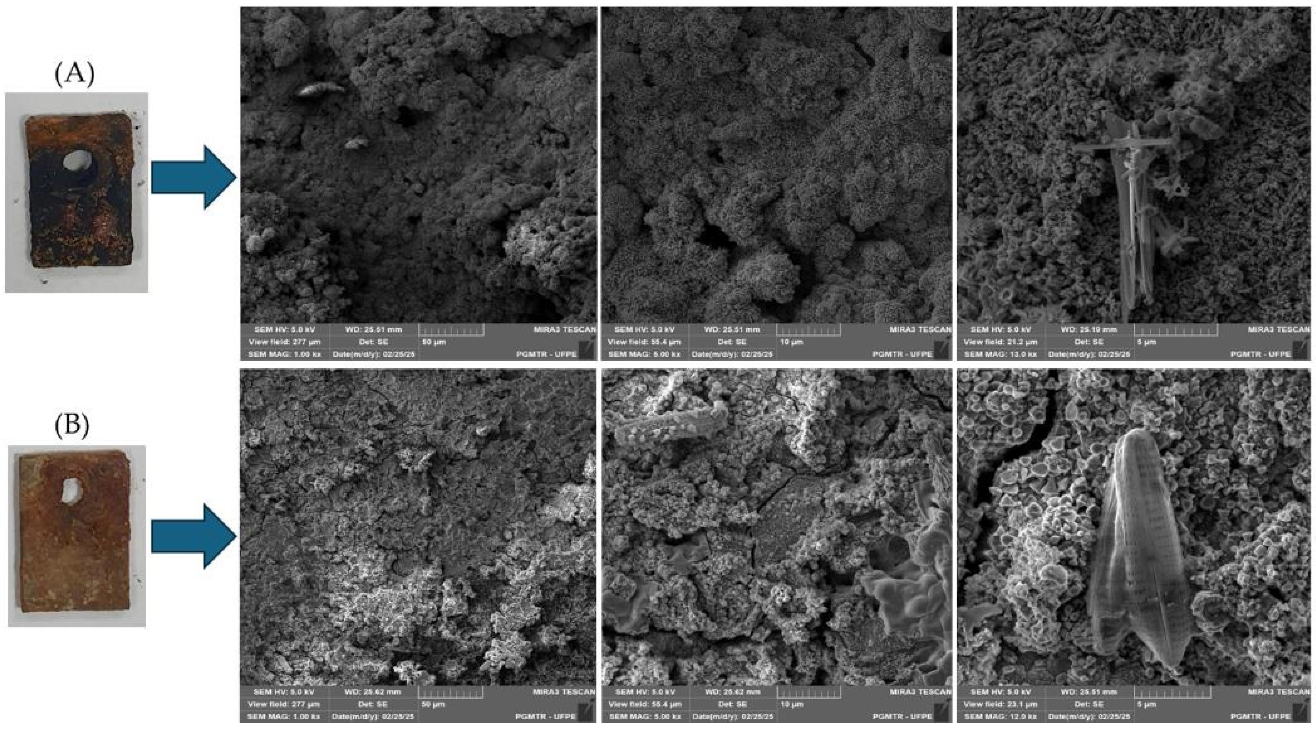 Coatings 15 00937 g010 Coatings 15 00937 g010