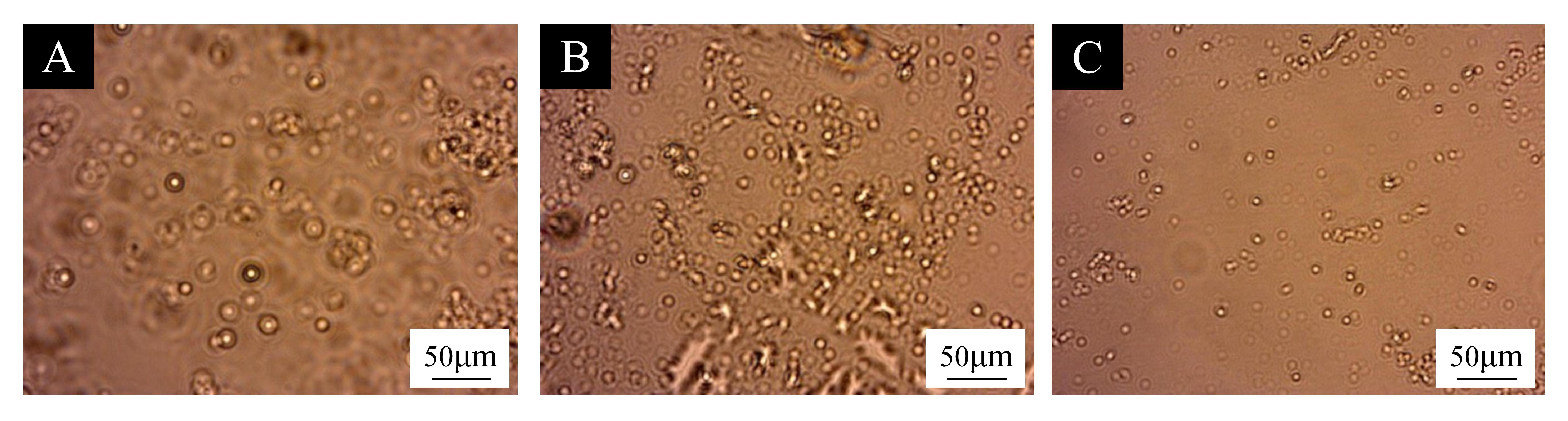 Coatings 15 00938 g001 Coatings 15 00938 g001