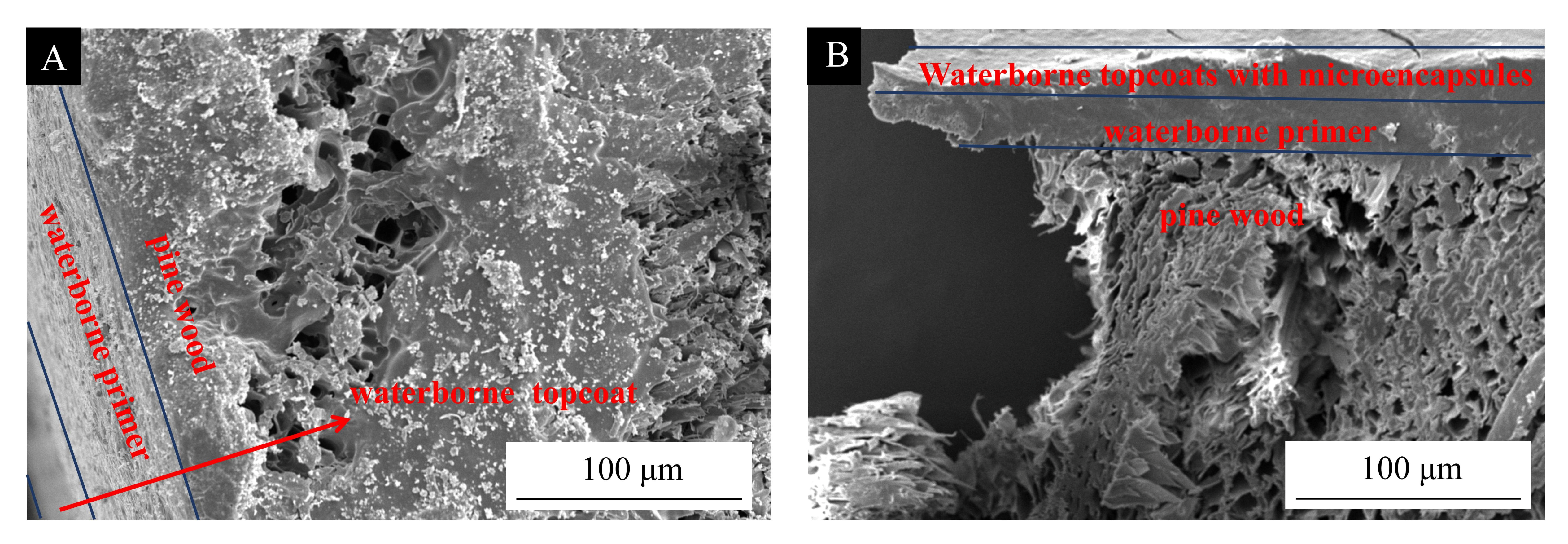 Coatings 15 00938 g007 Coatings 15 00938 g007