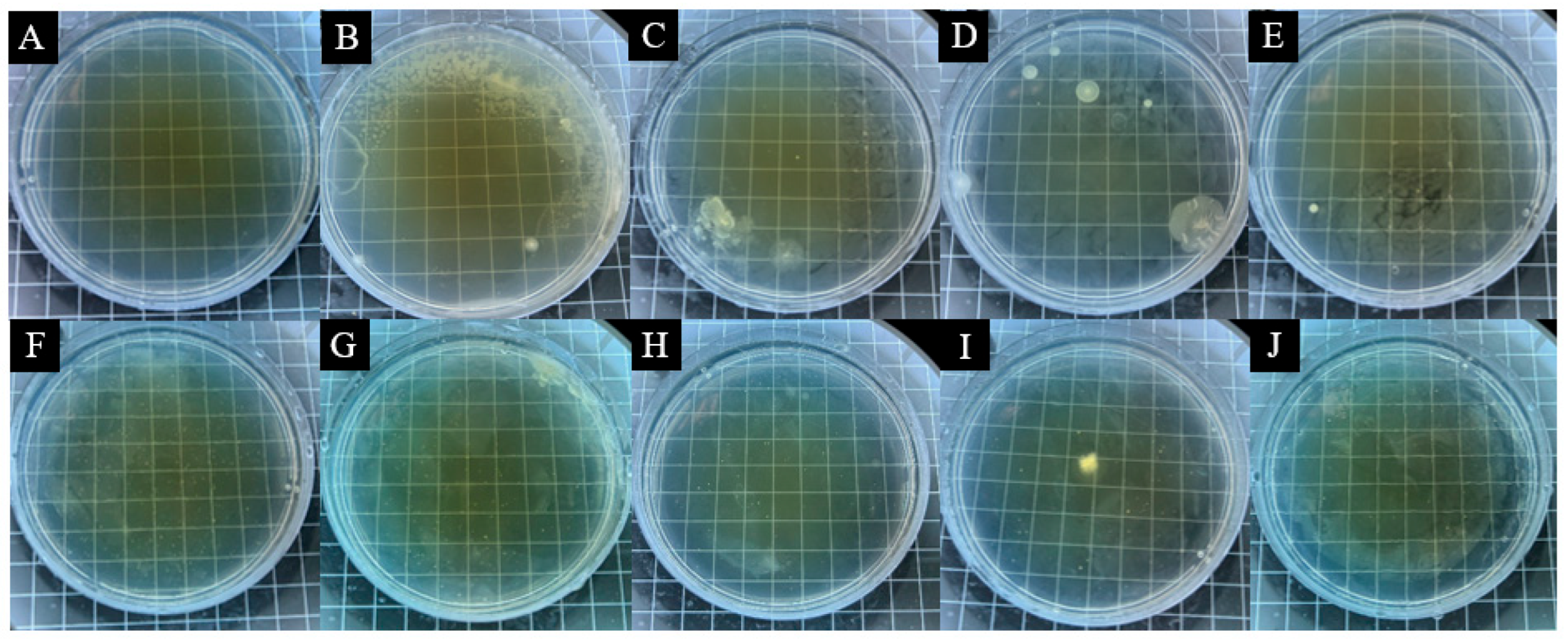 Coatings 15 00938 g009 Coatings 15 00938 g009