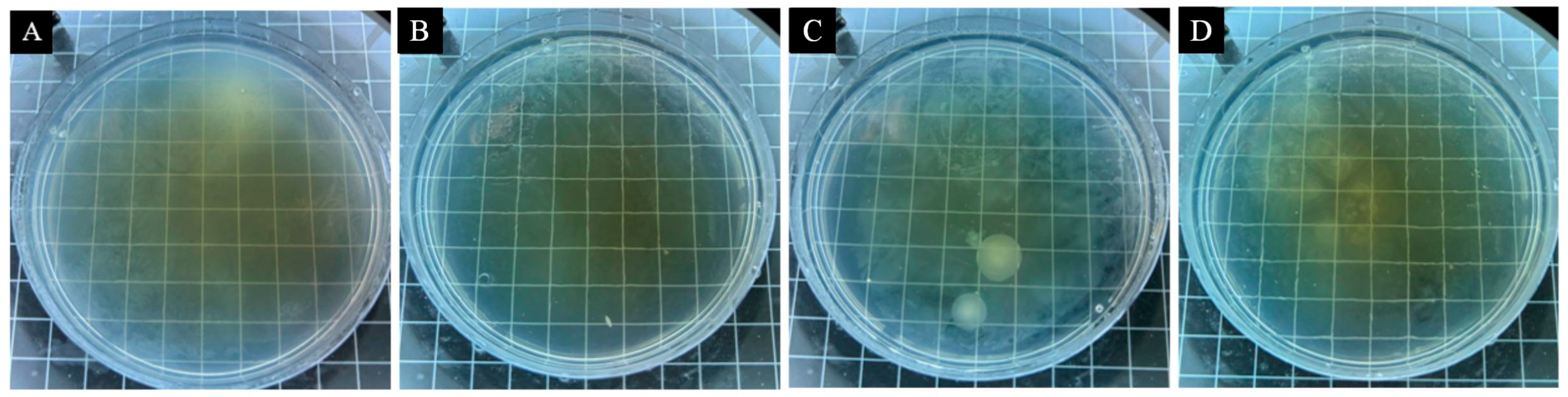 Coatings 15 00938 g015 Coatings 15 00938 g015