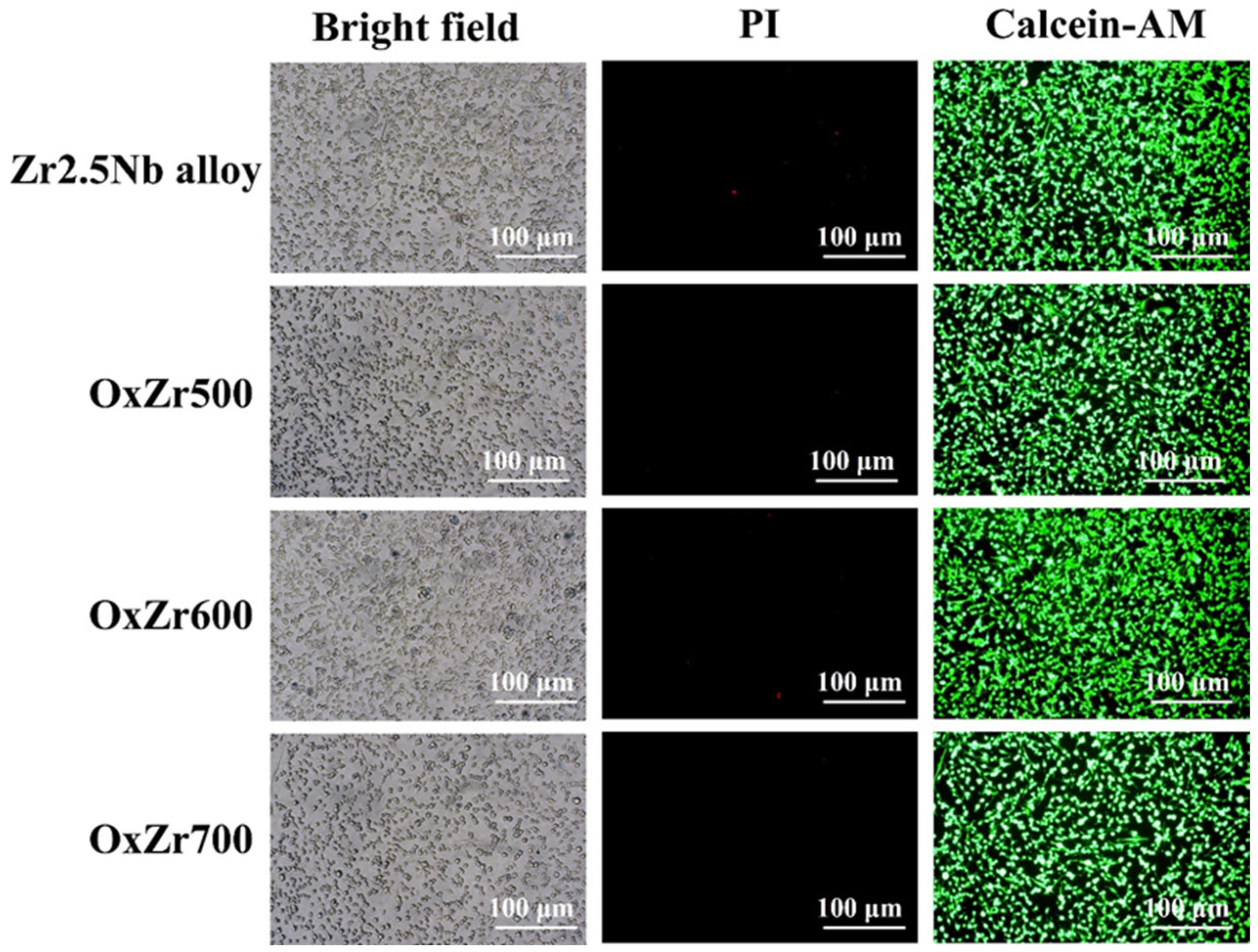 Coatings 15 00940 g011 Coatings 15 00940 g011