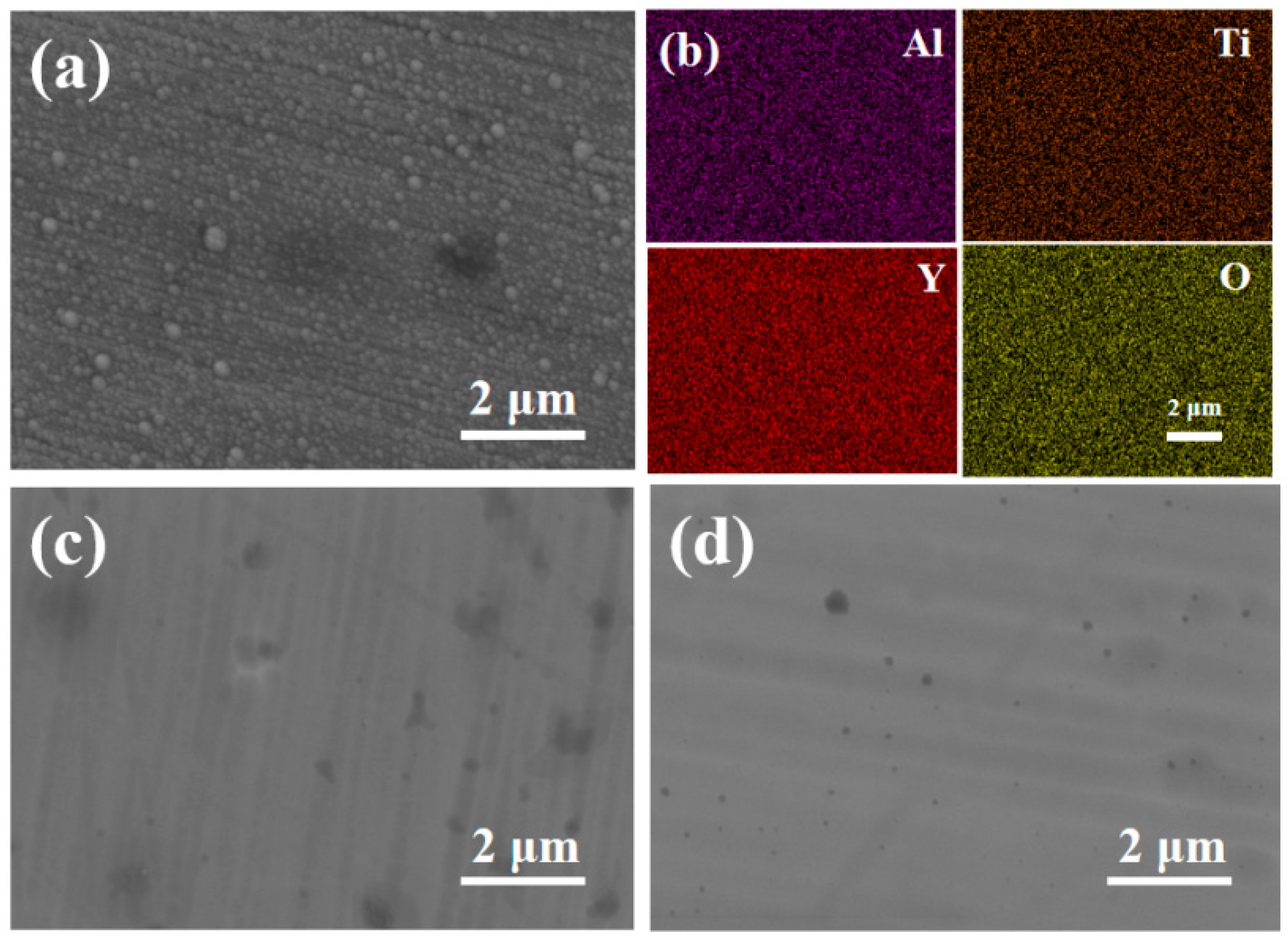 Coatings 15 00942 g004 Coatings 15 00942 g004