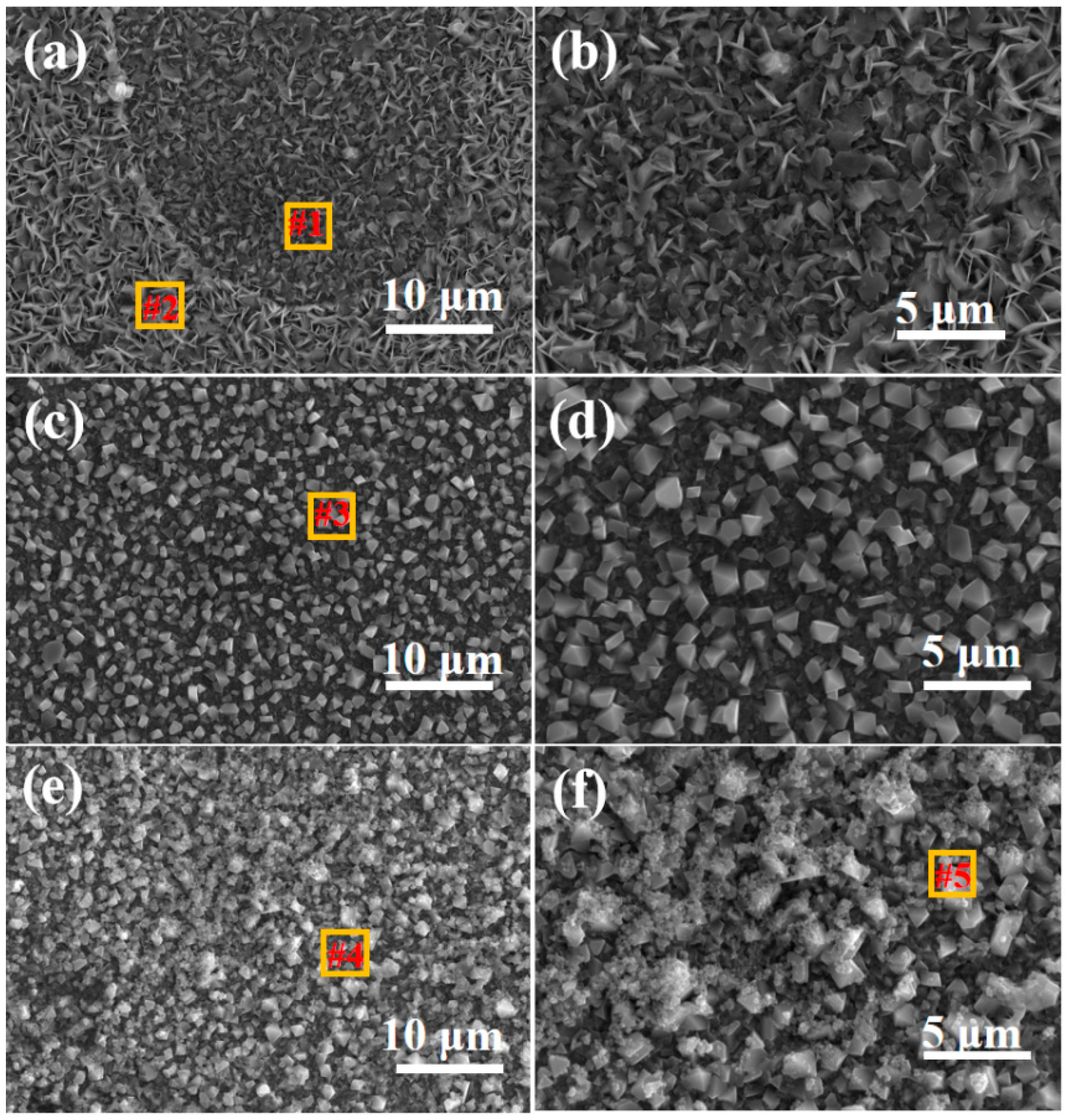 Coatings 15 00942 g010 Coatings 15 00942 g010