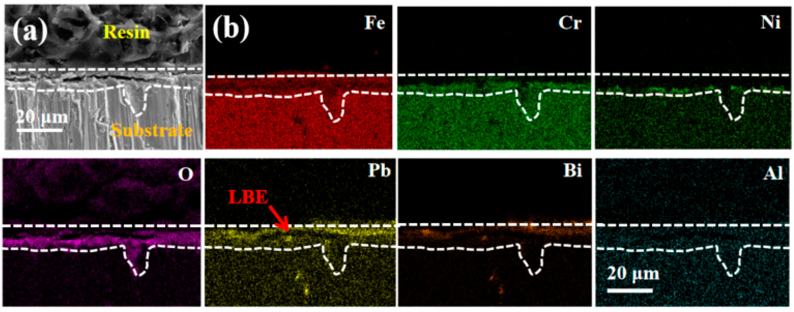 Coatings 15 00942 g014 Coatings 15 00942 g014