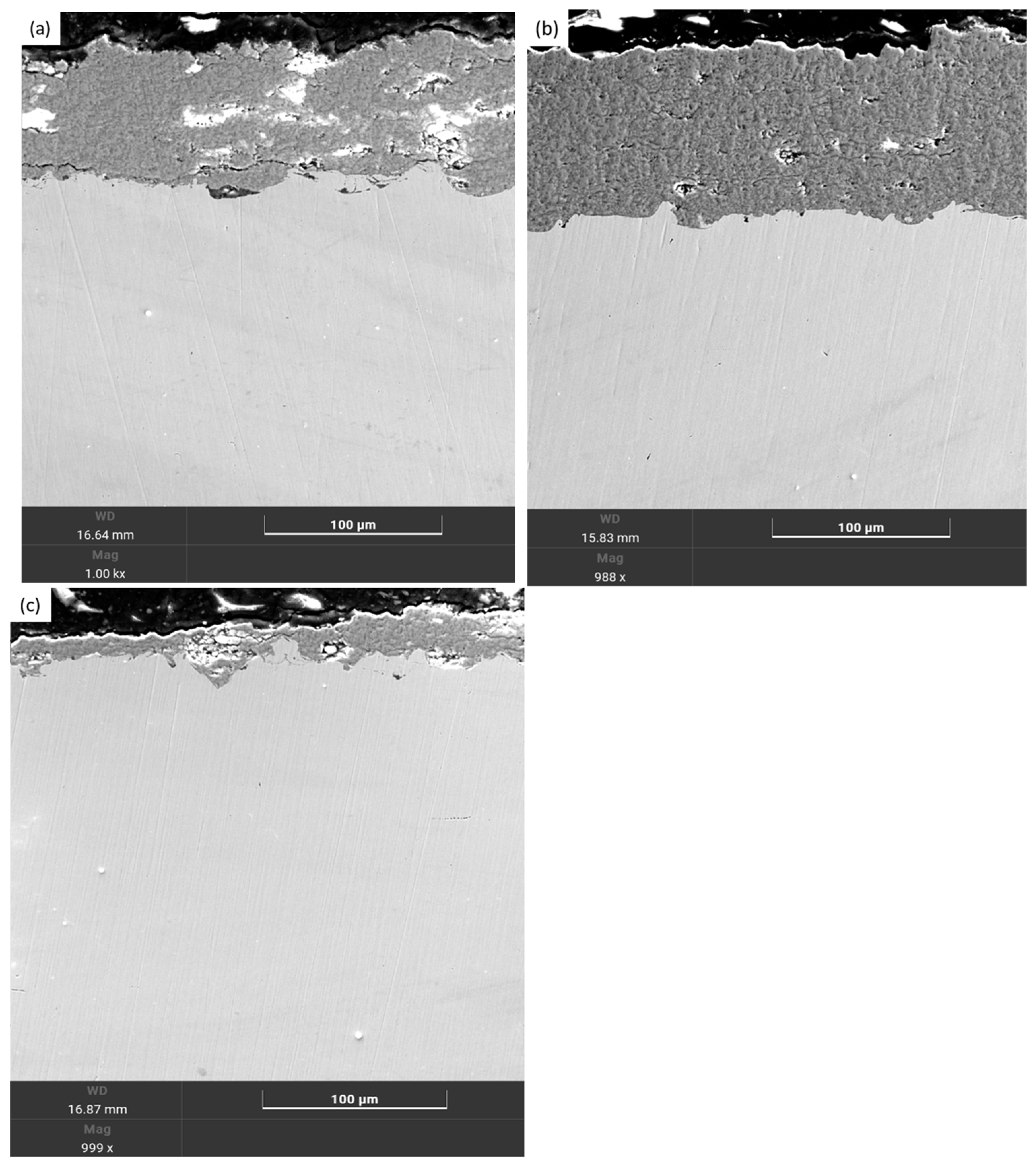 Coatings 15 00943 g004