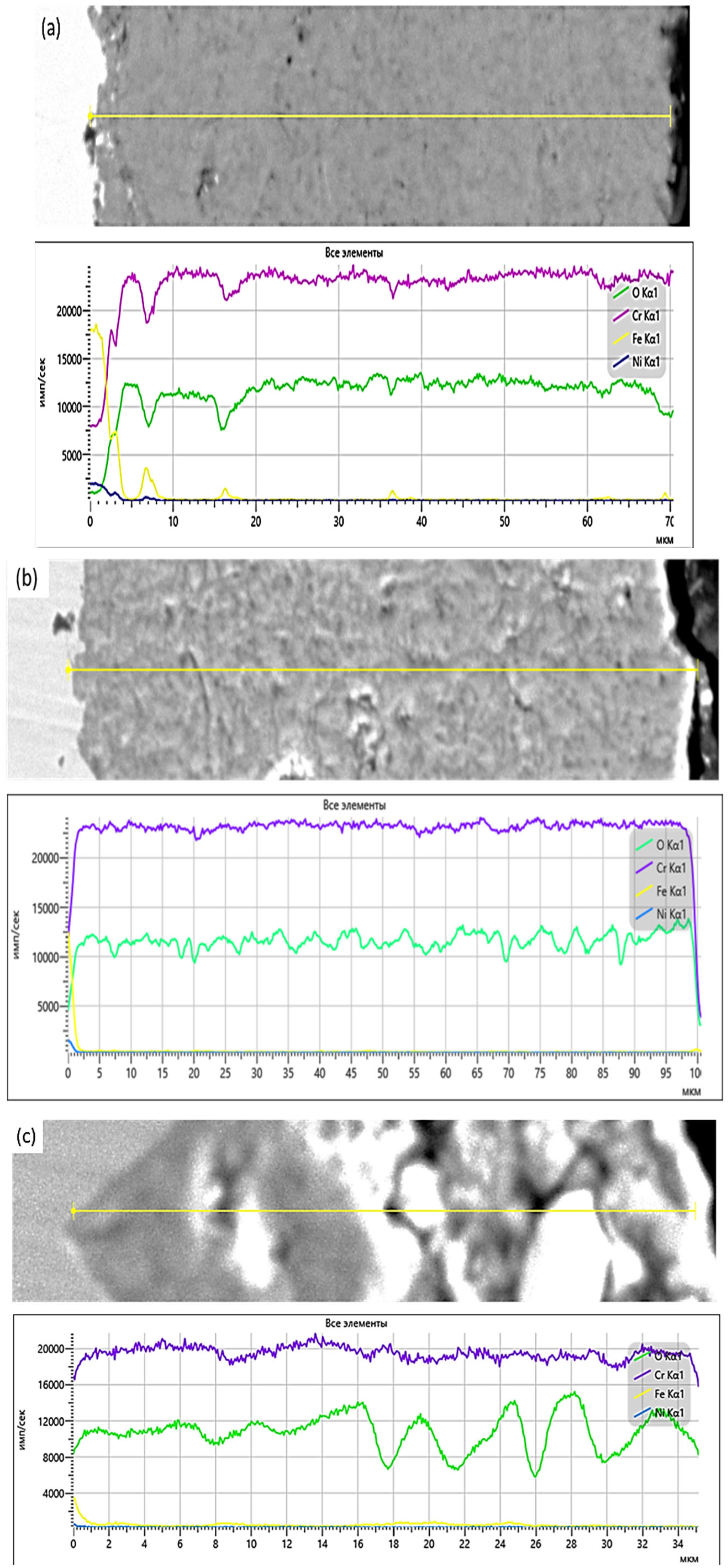 Coatings 15 00943 g006