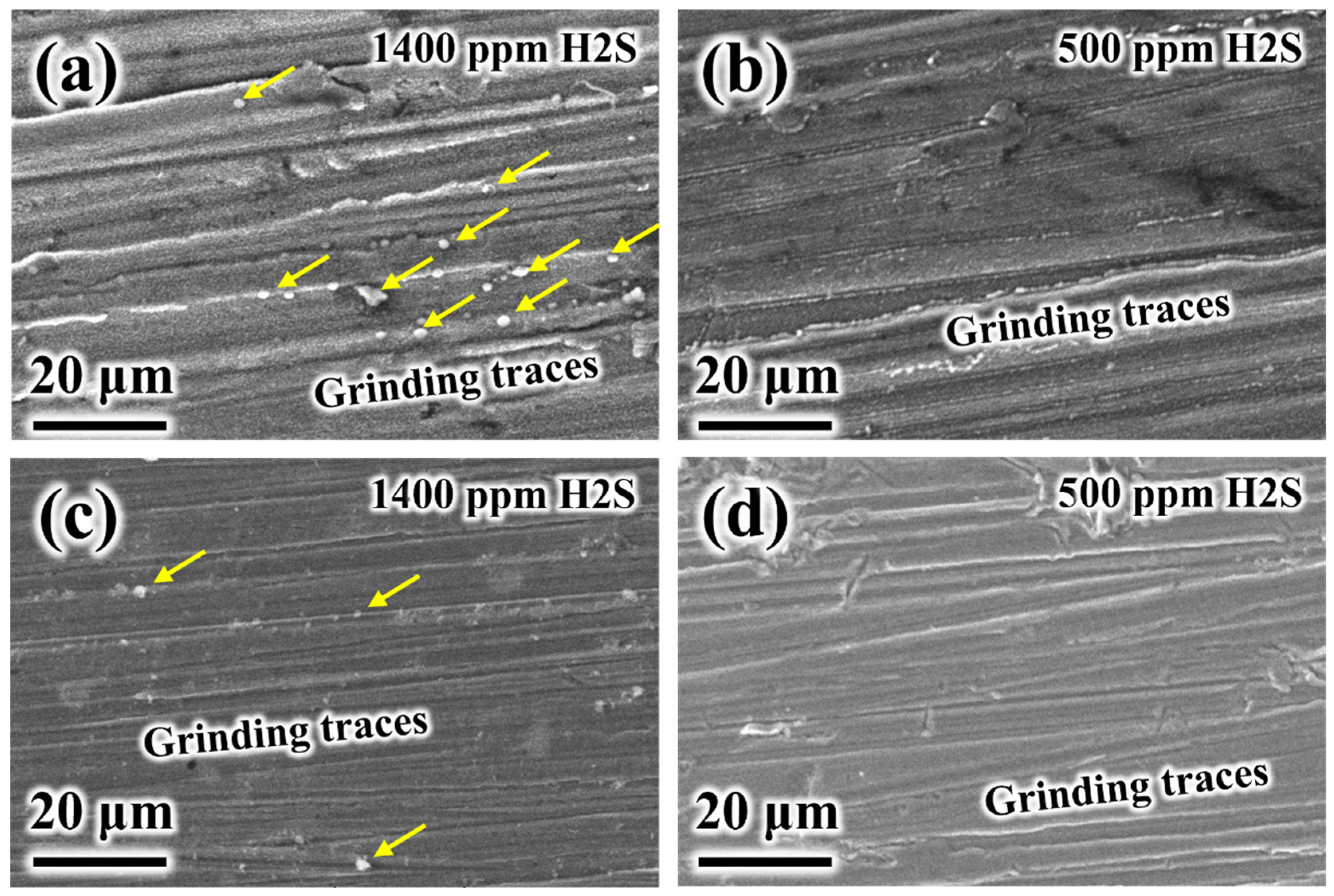 Coatings 15 00944 g004 Coatings 15 00944 g004