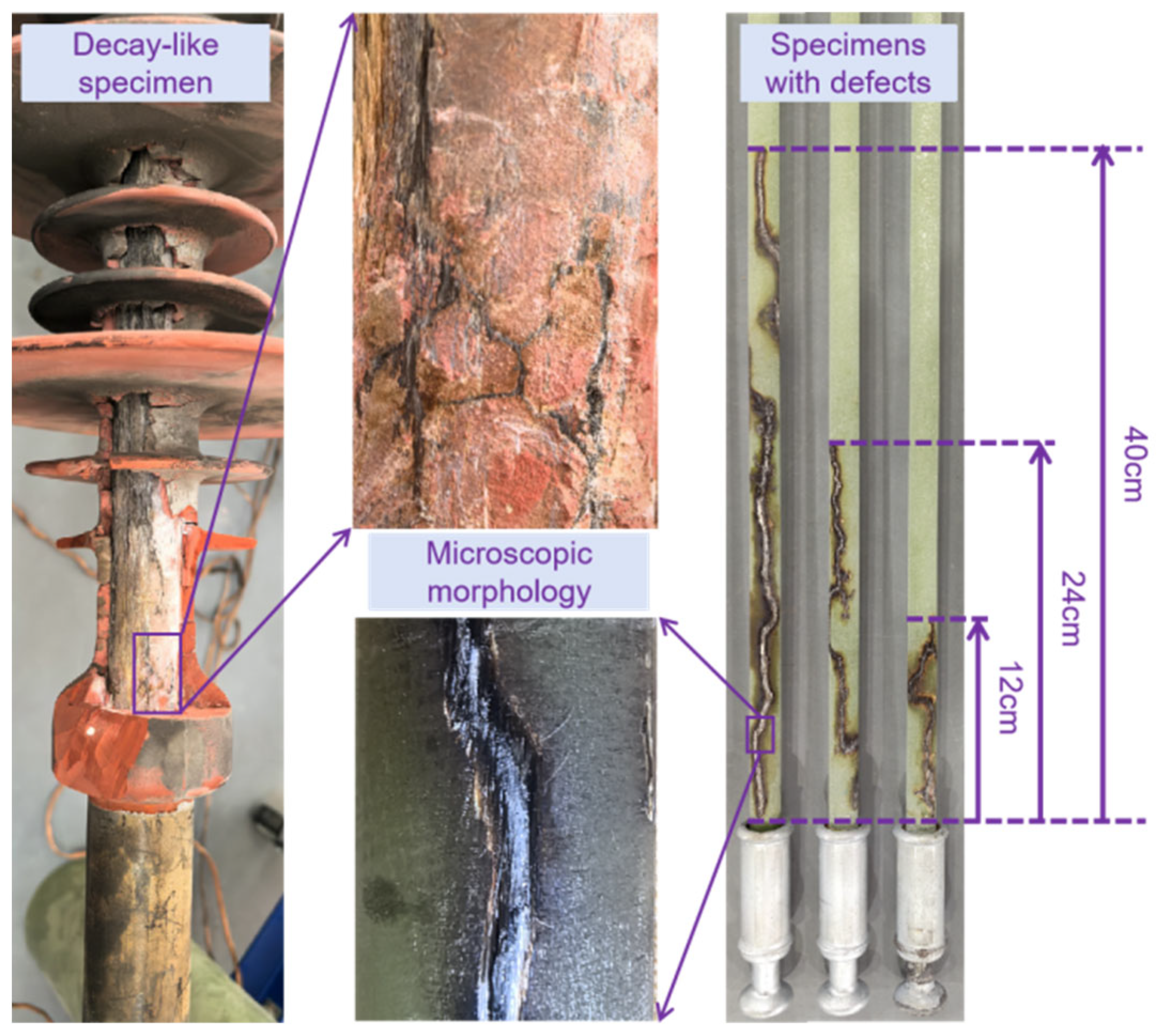 Coatings 15 00945 g003 Coatings 15 00945 g003
