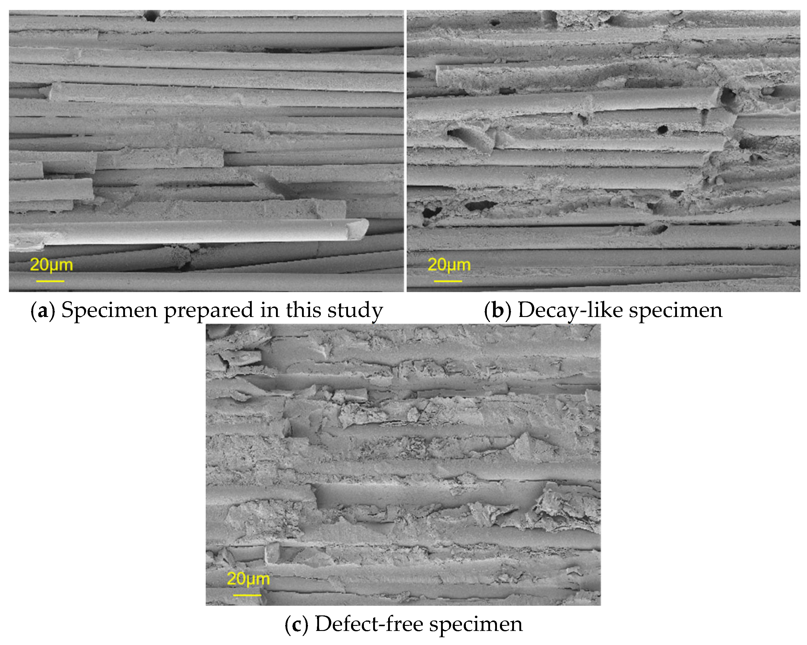 Coatings 15 00945 g019 Coatings 15 00945 g019