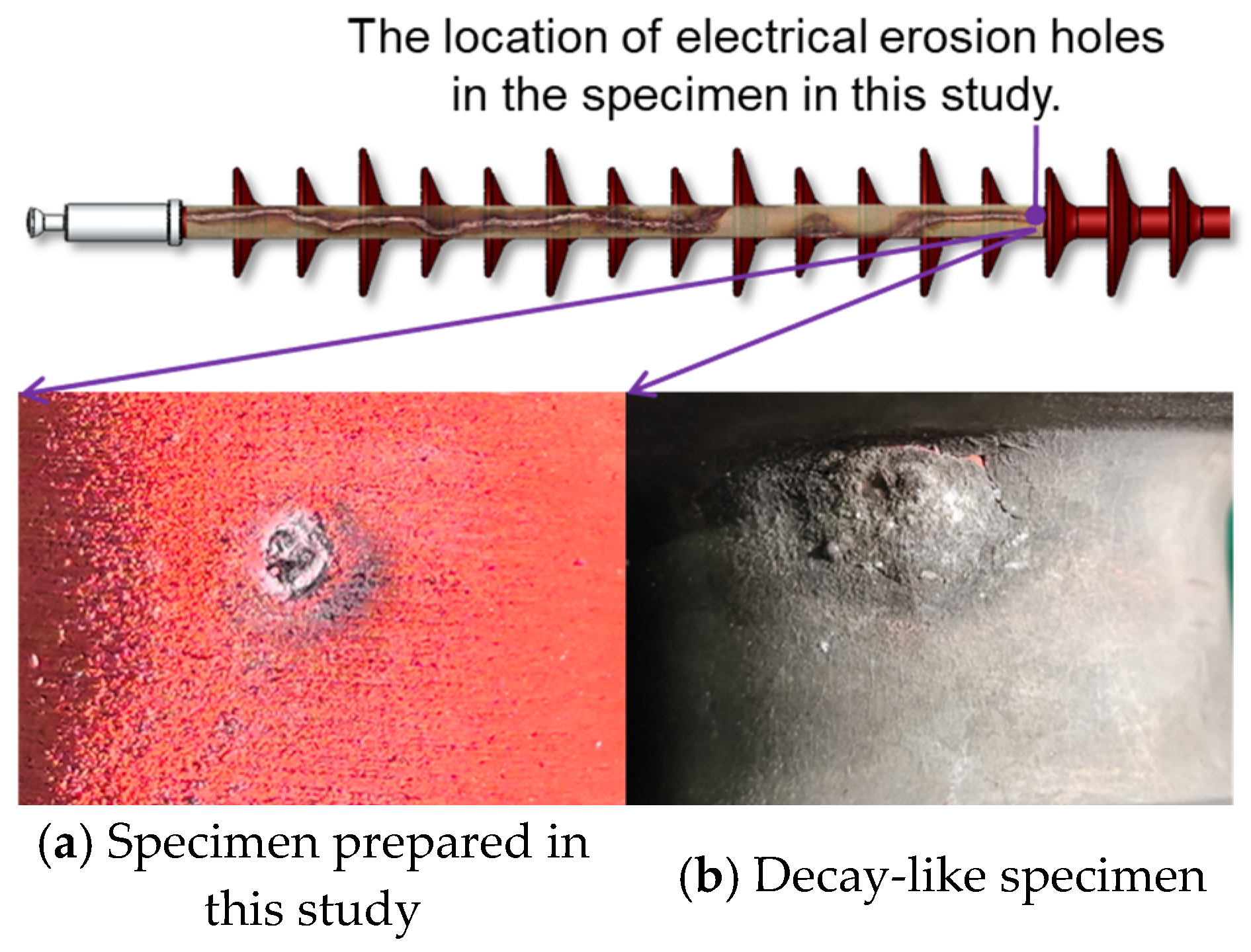 Coatings 15 00945 g021 Coatings 15 00945 g021