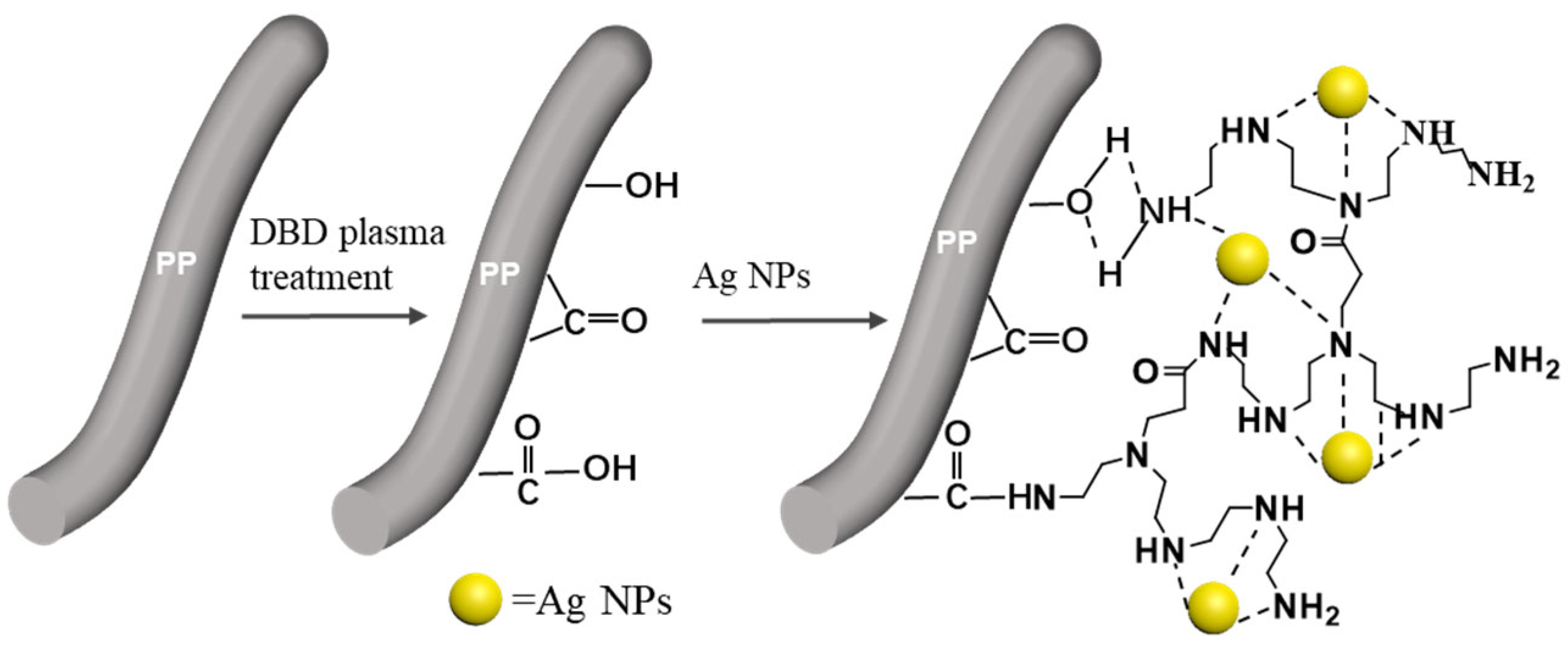 Coatings 15 00947 g004
