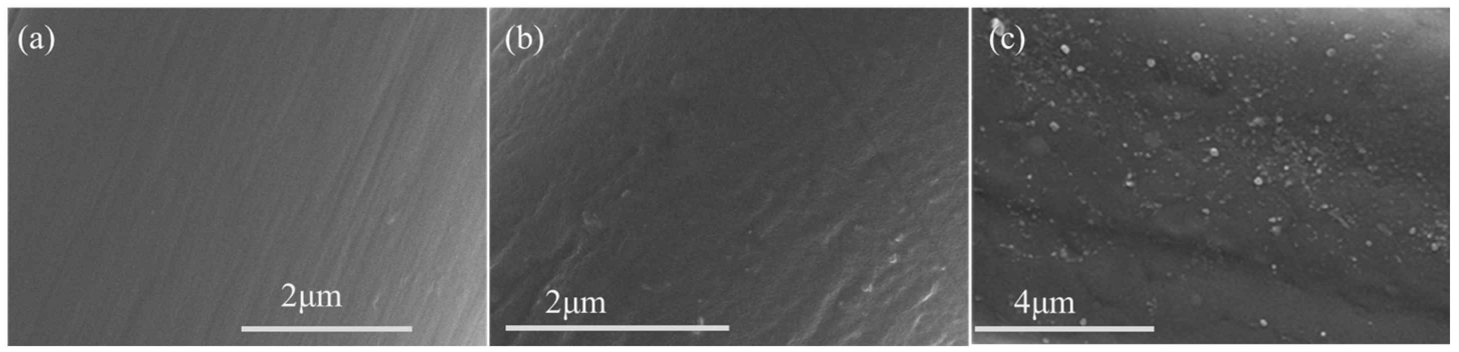 Coatings 15 00947 g005