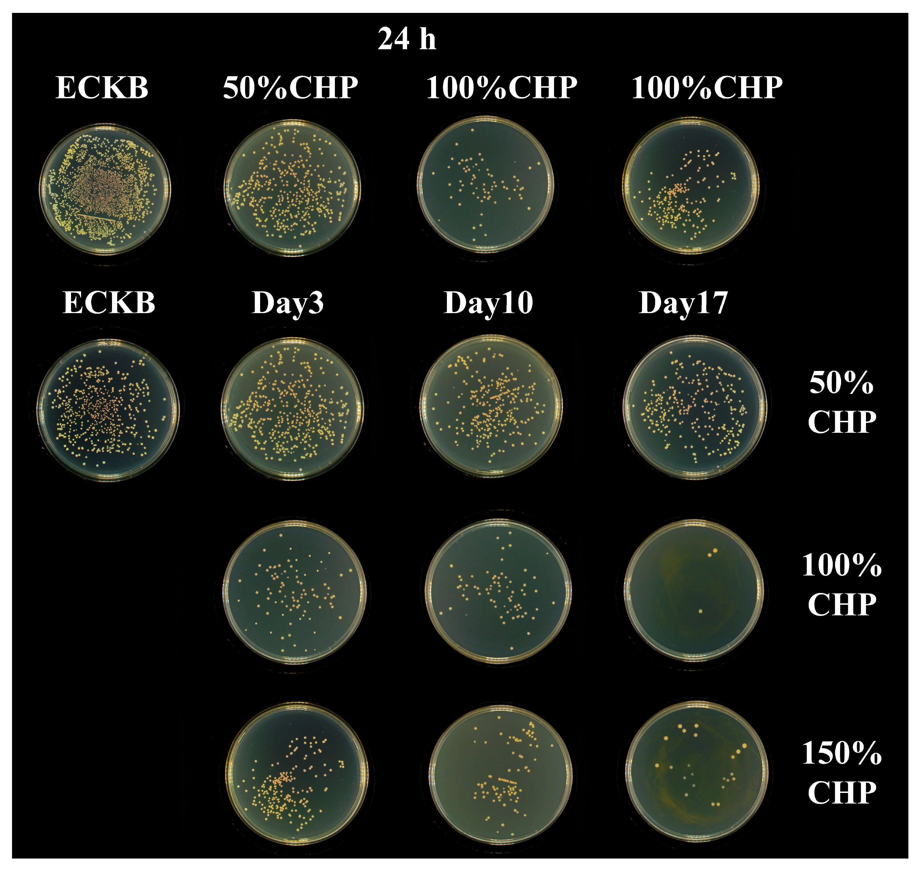 Coatings 15 00948 g009