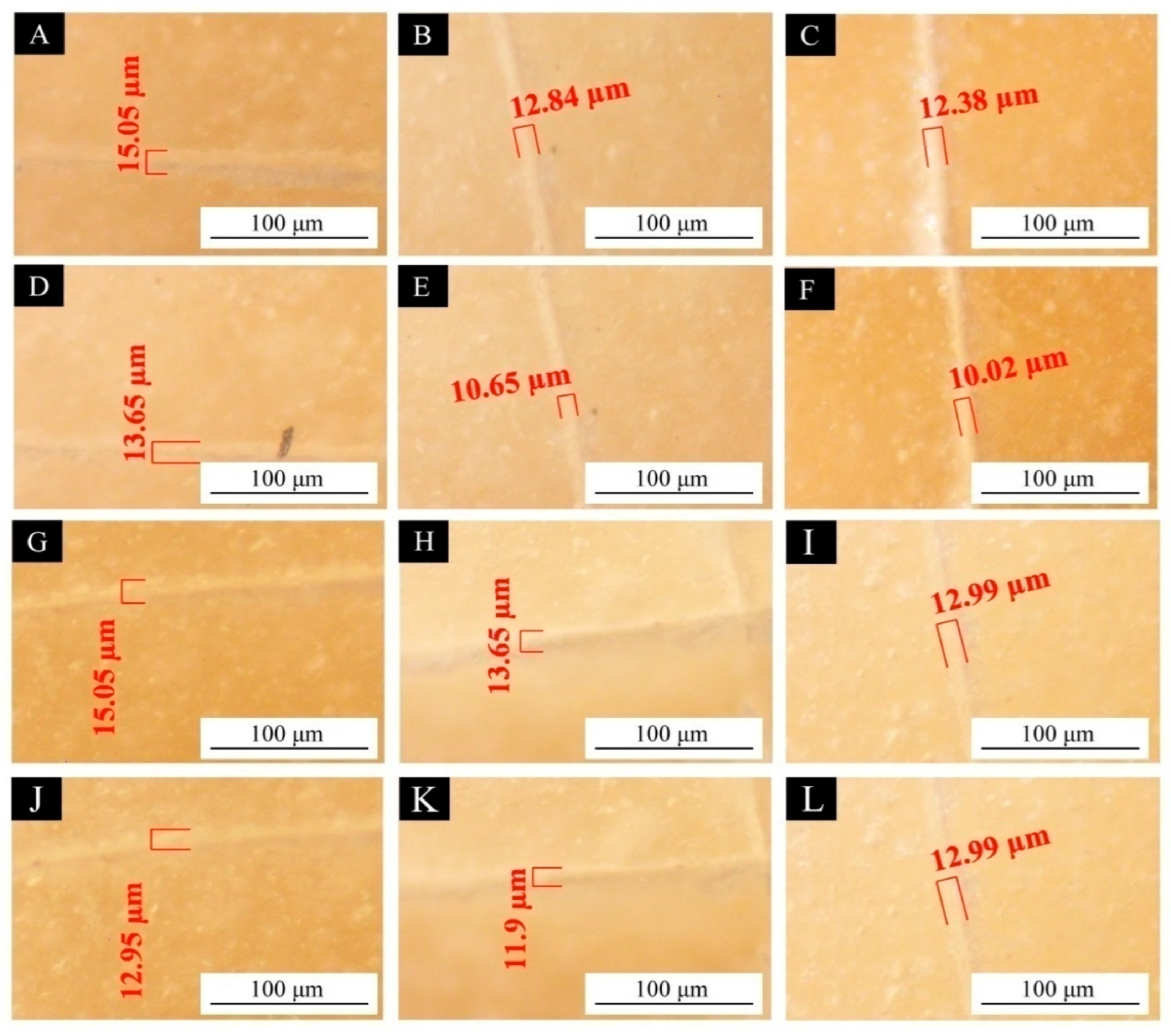 Coatings 15 00949 g003 Coatings 15 00949 g003