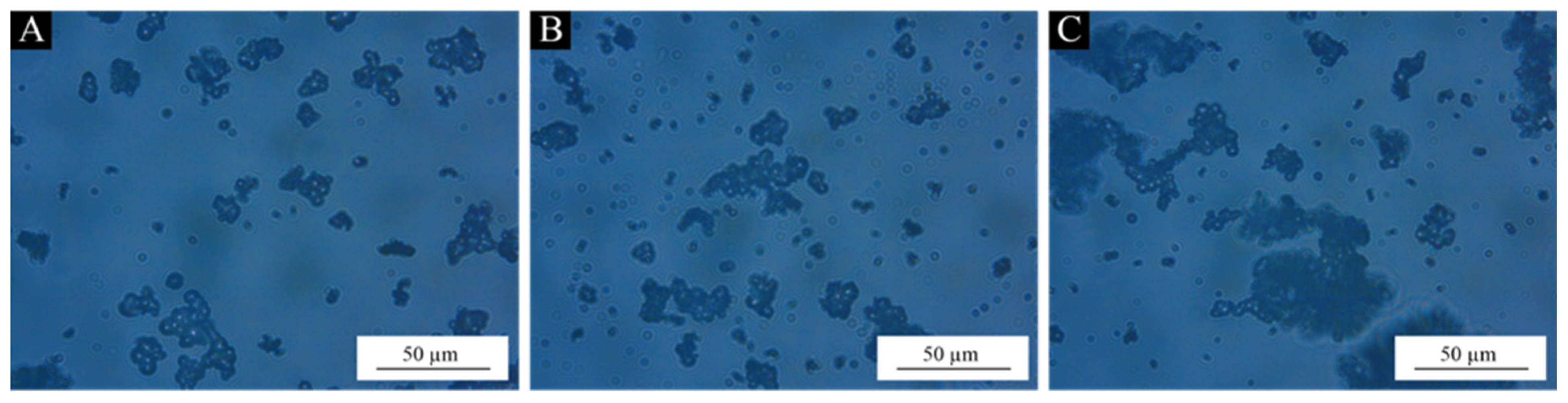 Coatings 15 00951 g002