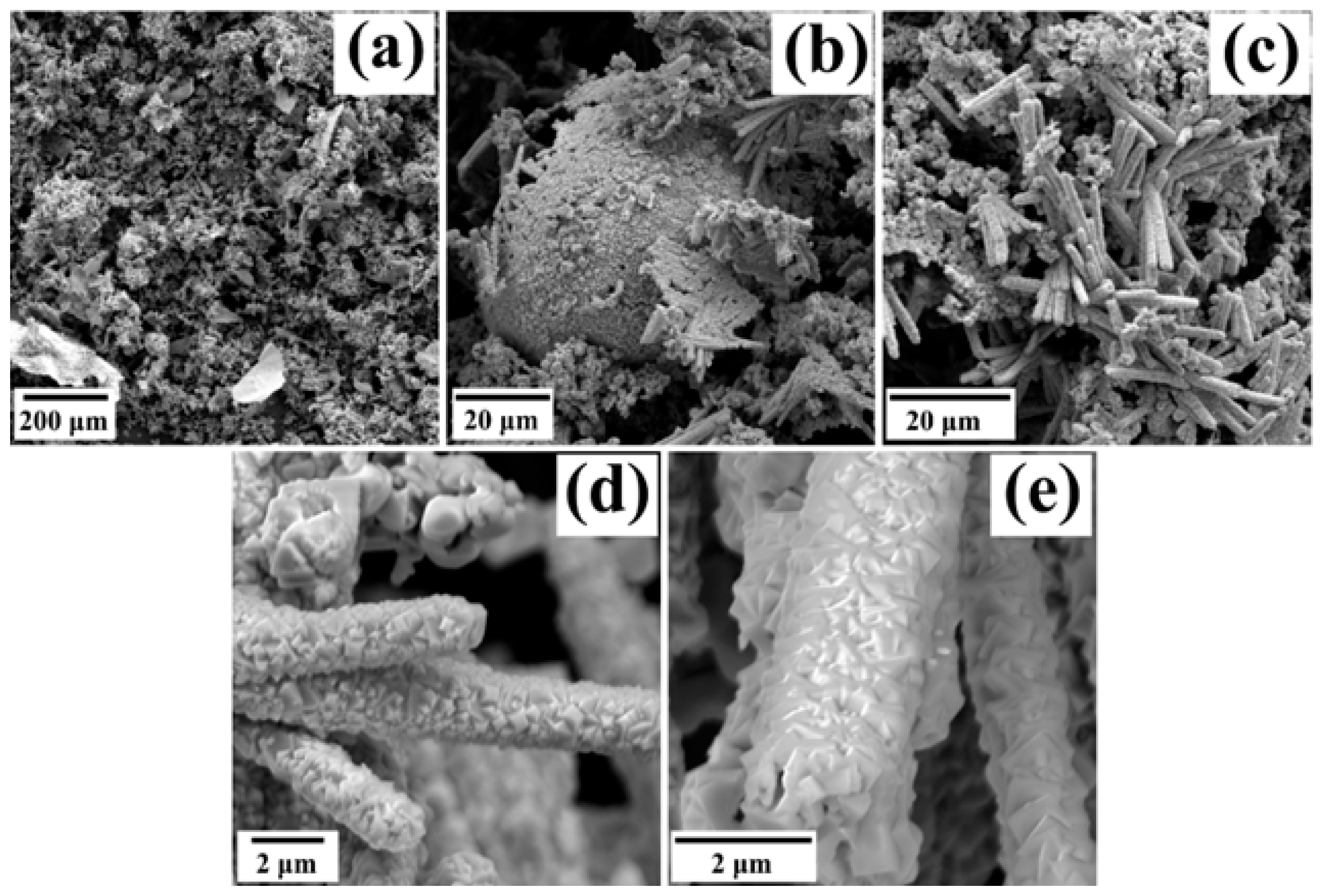 Coatings 15 00952 g003 Coatings 15 00952 g003