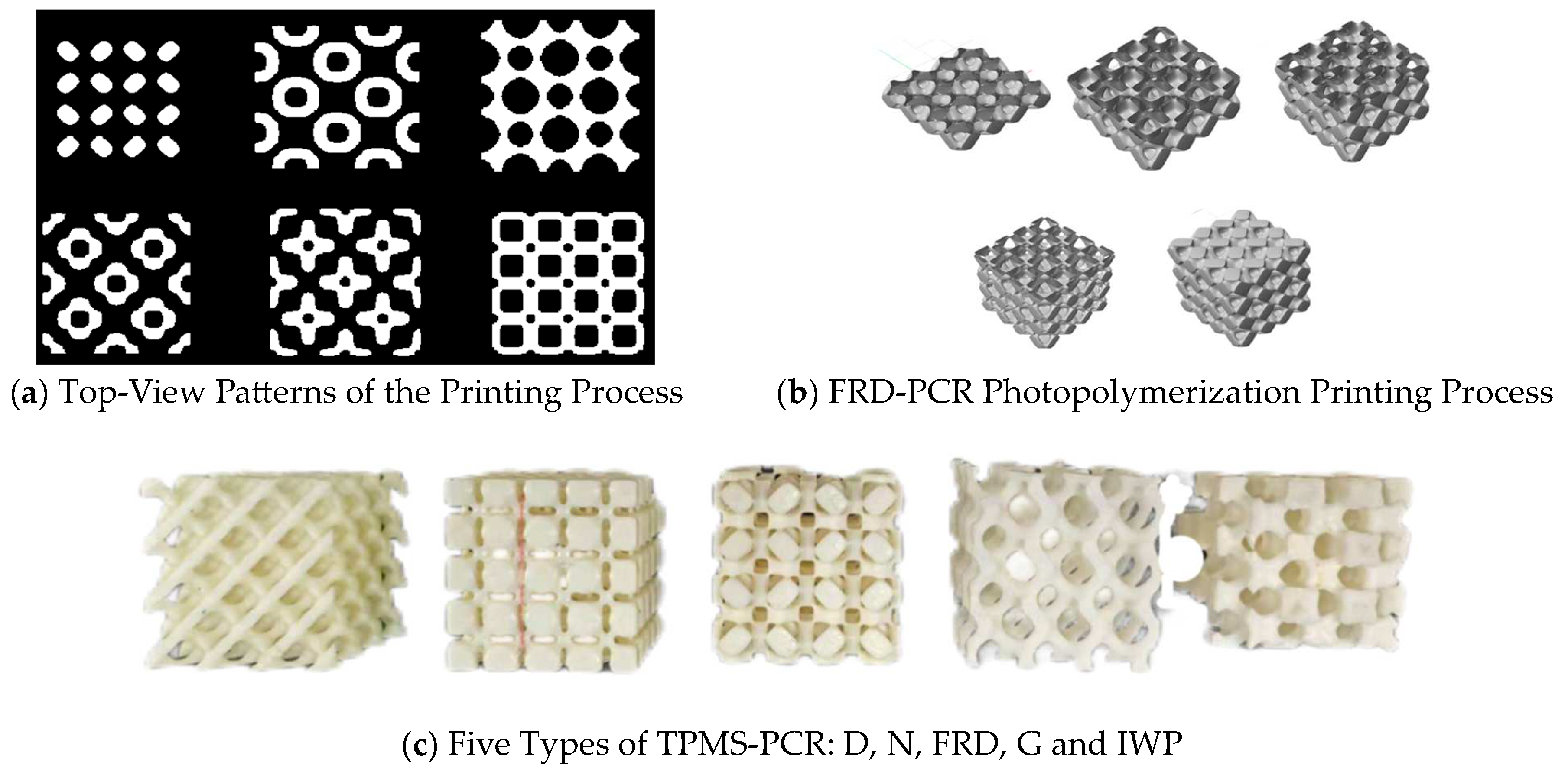 Coatings 15 00953 g003 Coatings 15 00953 g003
