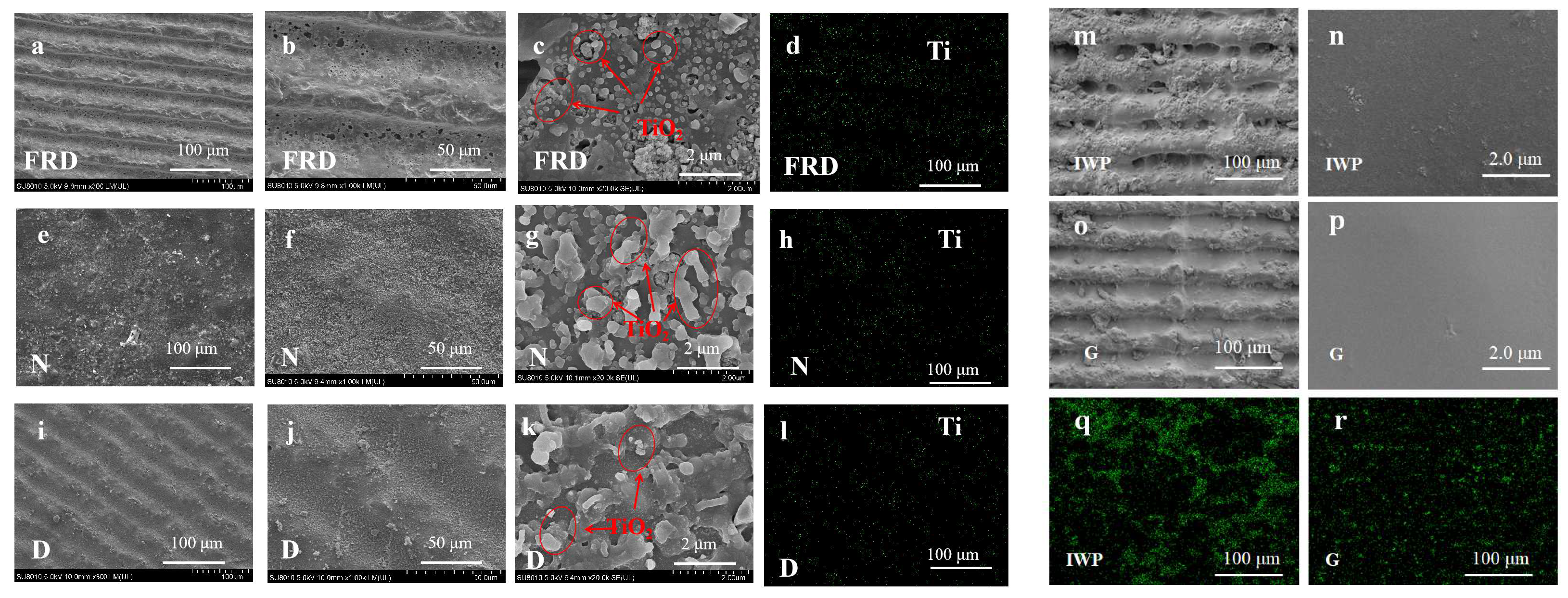 Coatings 15 00953 g006 Coatings 15 00953 g006