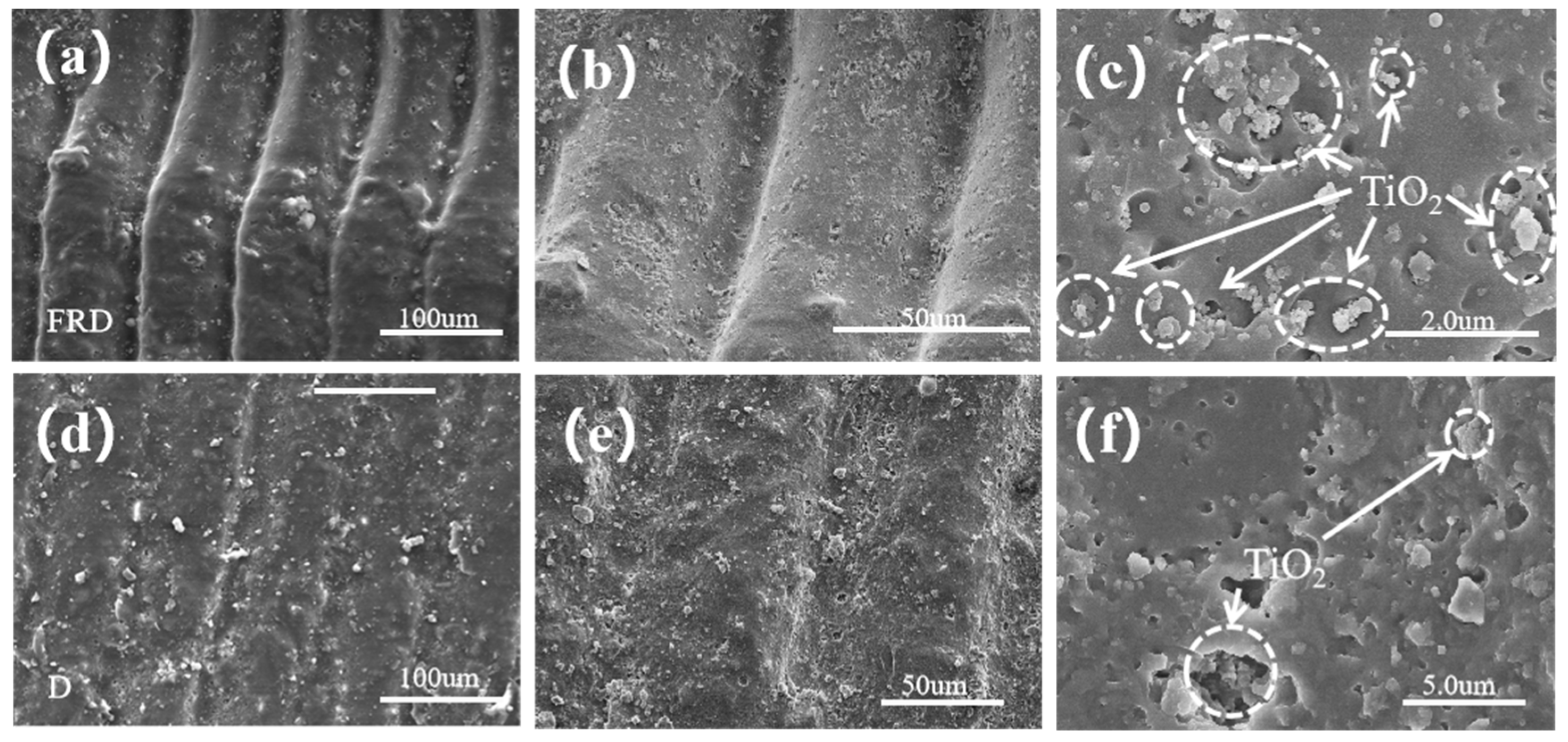 Coatings 15 00953 g009 Coatings 15 00953 g009
