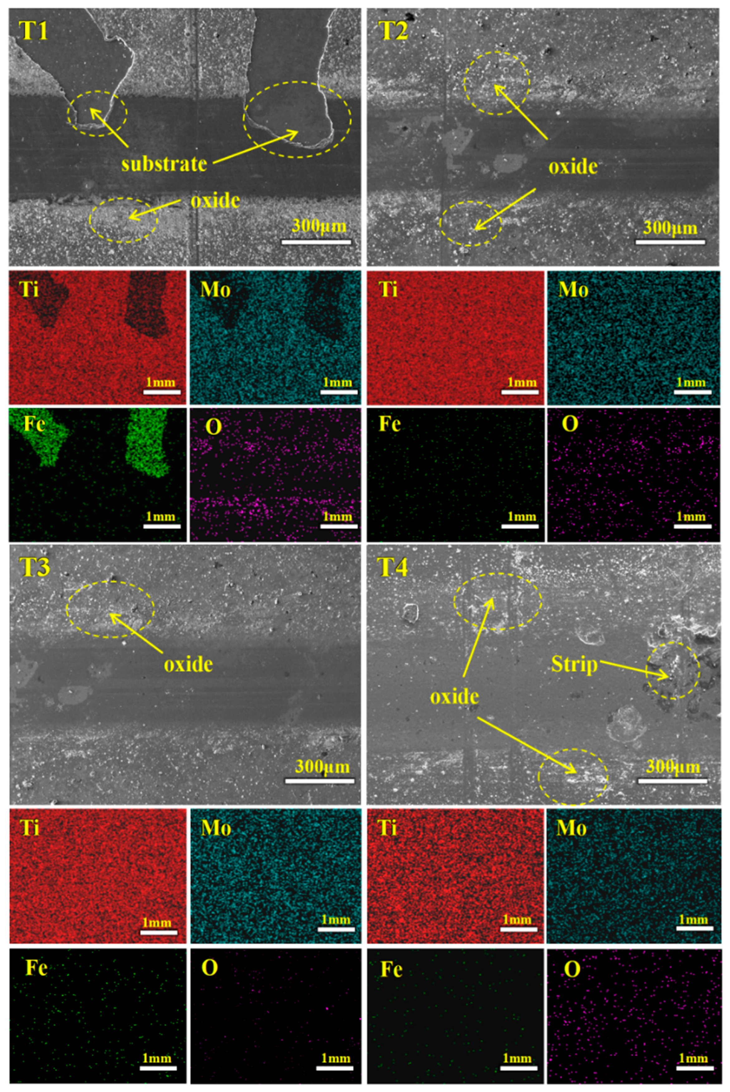 Coatings 15 00956 g009 Coatings 15 00956 g009