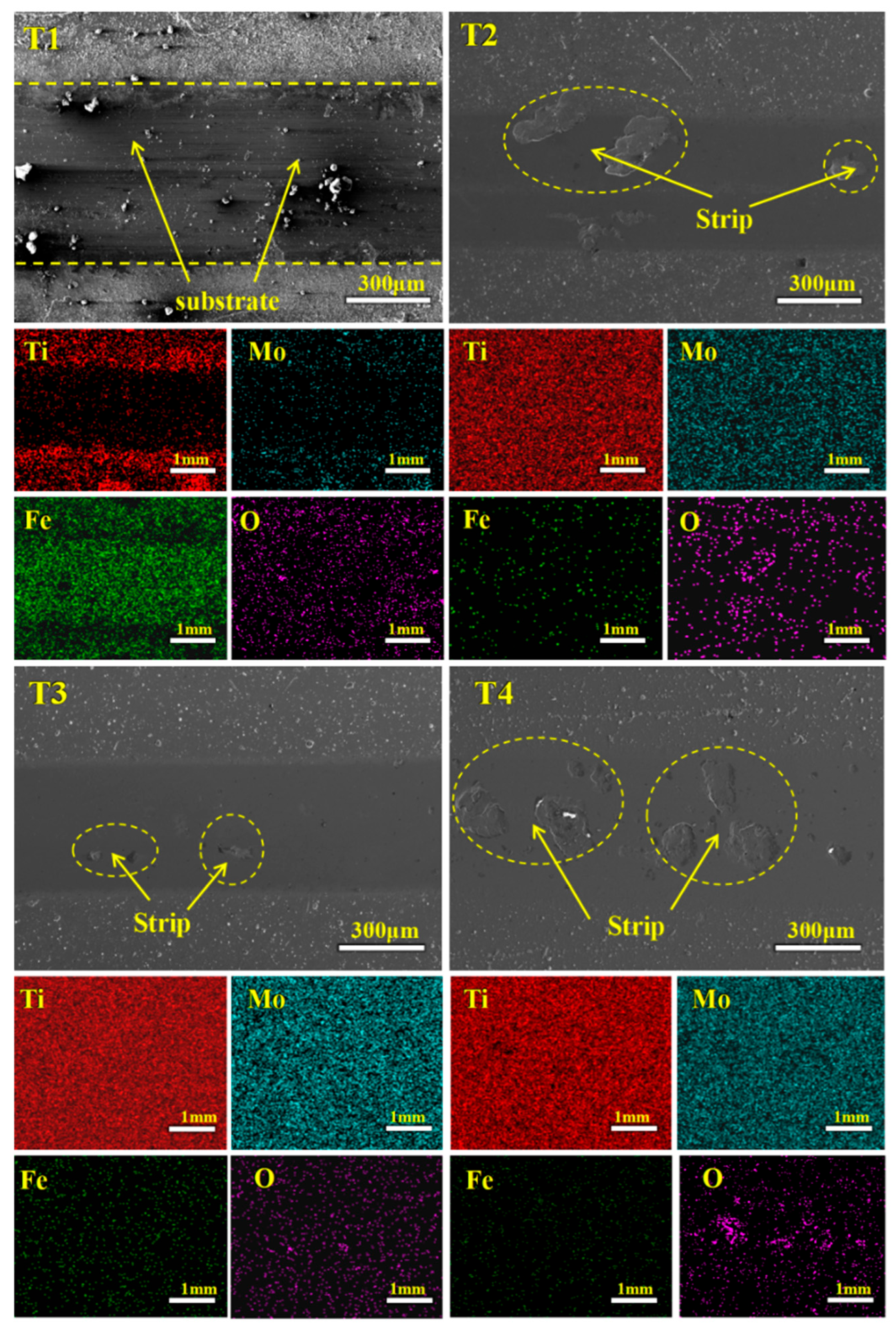 Coatings 15 00956 g012 Coatings 15 00956 g012