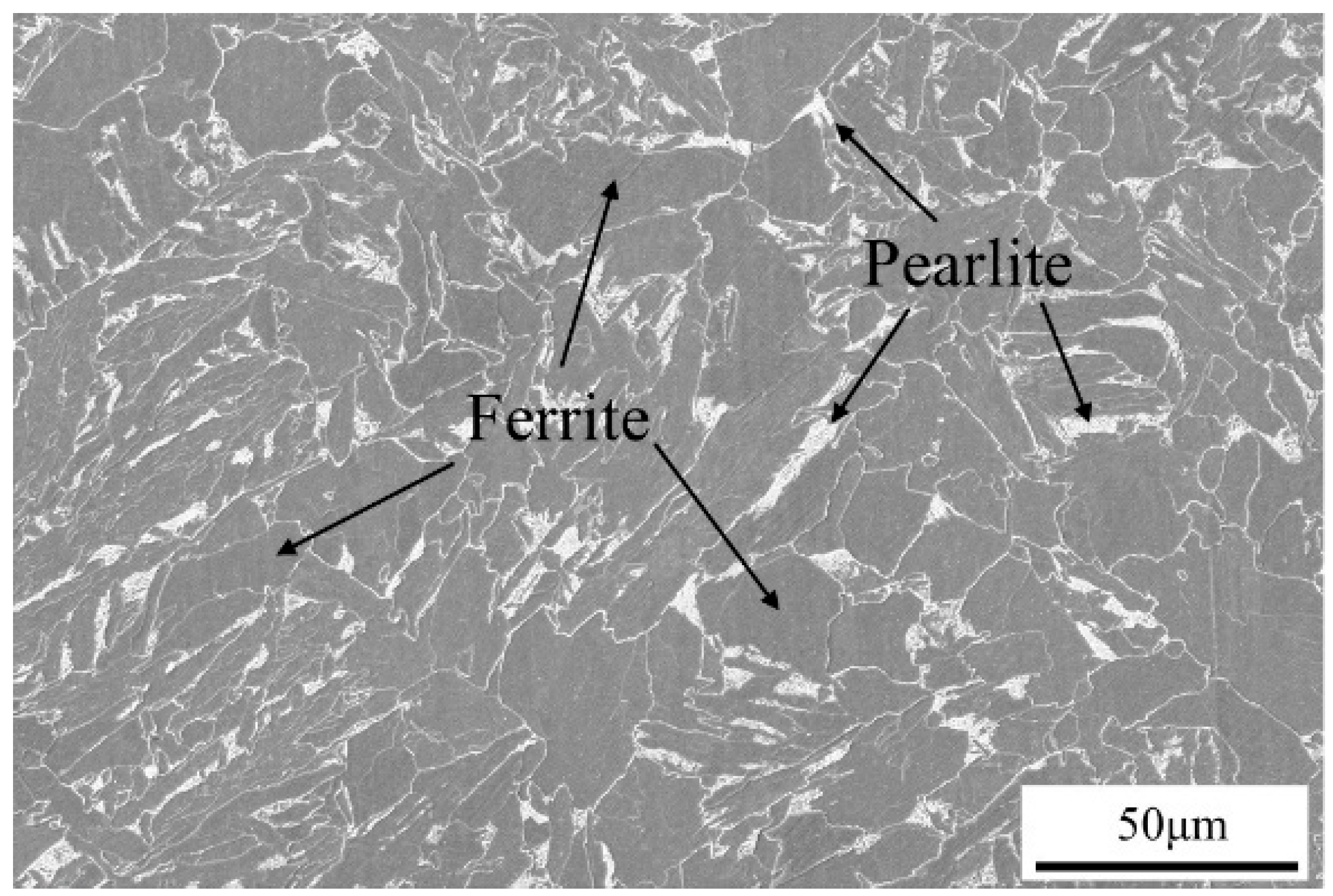 Coatings 15 00957 g004 Coatings 15 00957 g004