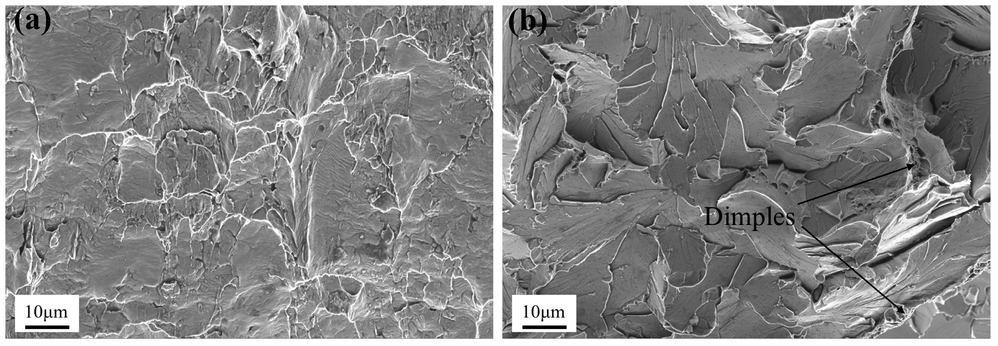 Coatings 15 00957 g006 Coatings 15 00957 g006