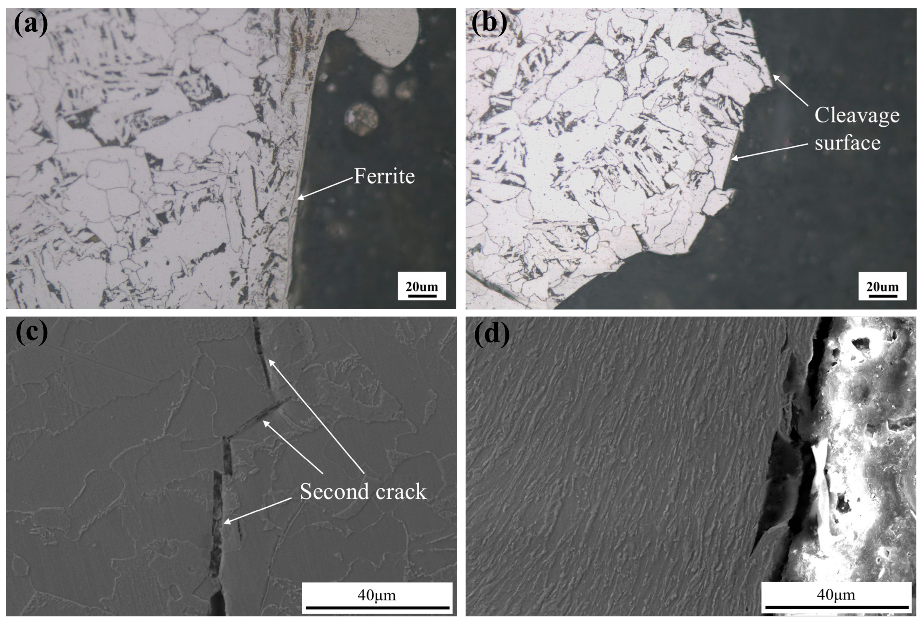 Coatings 15 00957 g007 Coatings 15 00957 g007