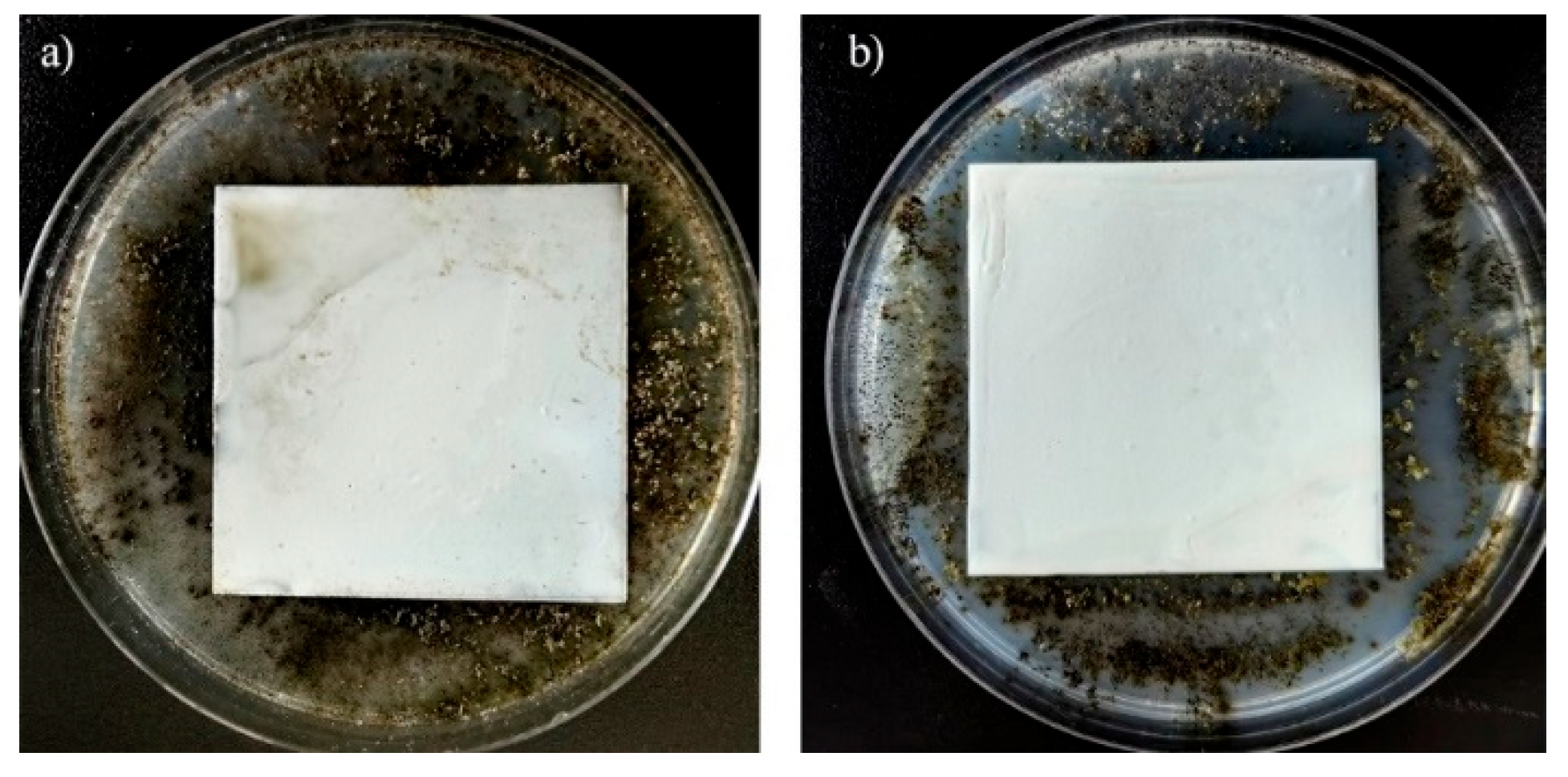 Coatings 15 00959 g007
