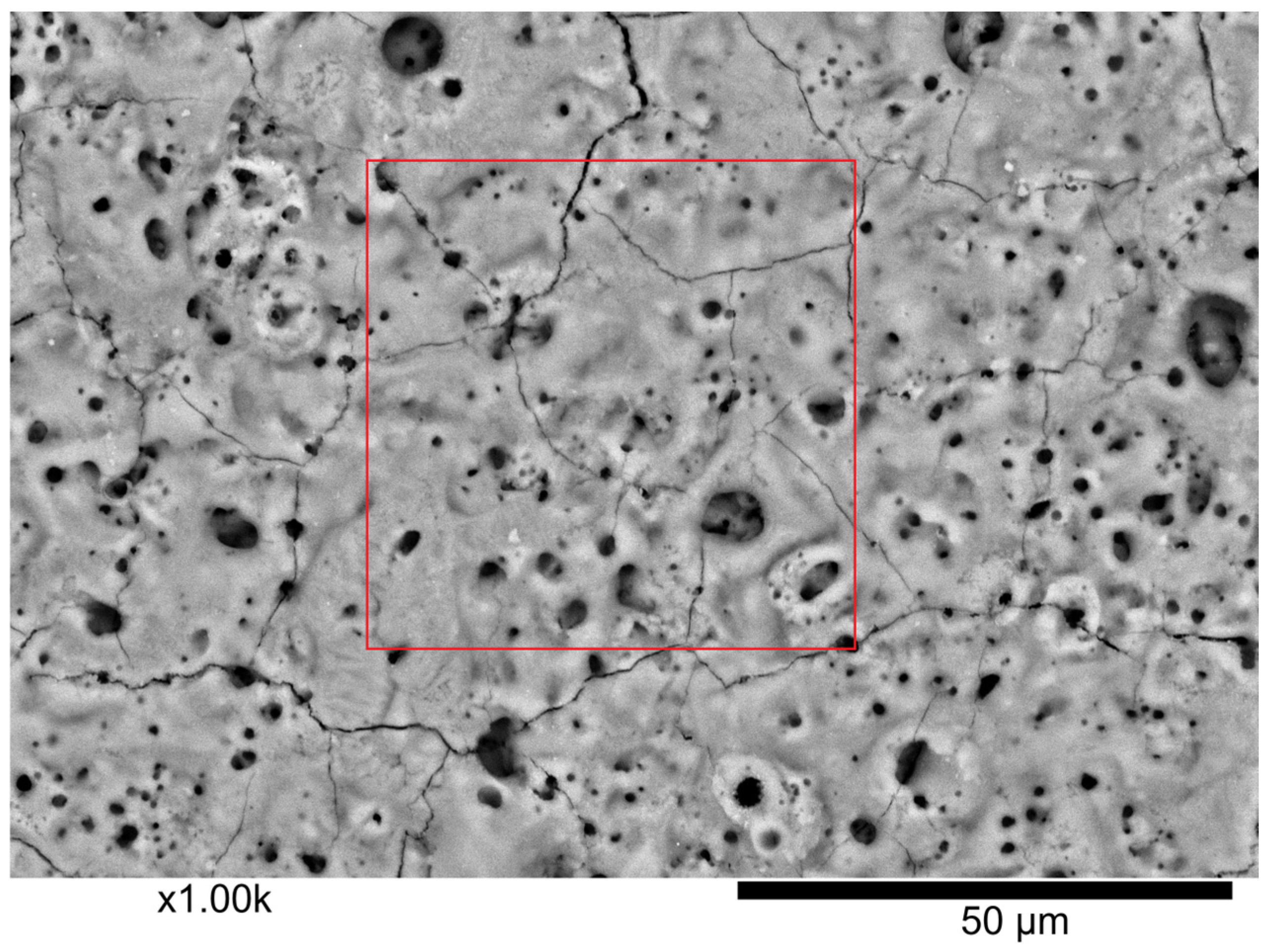 Coatings 15 00961 g001 Coatings 15 00961 g001