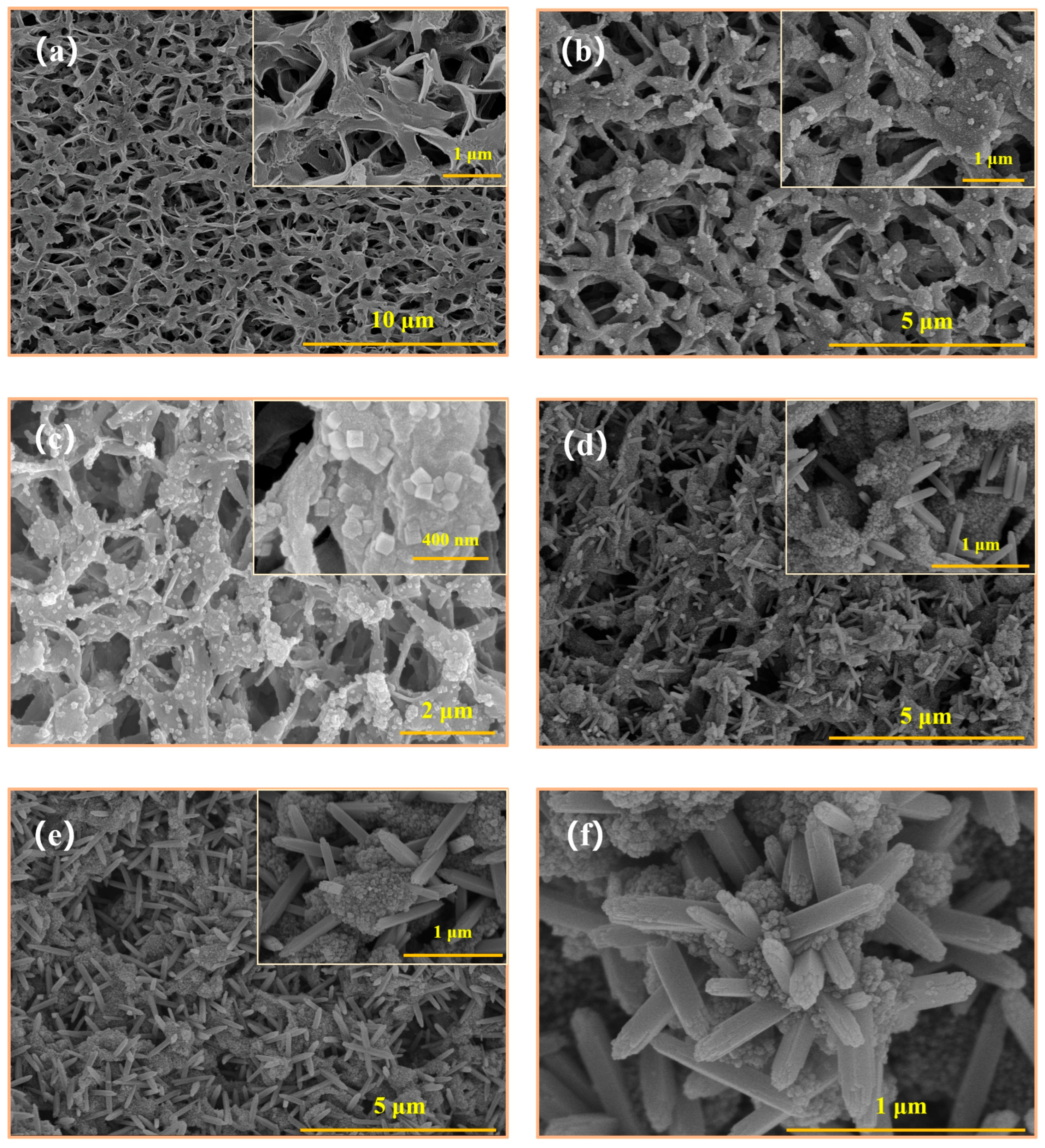 Coatings 15 00965 g002 Coatings 15 00965 g002