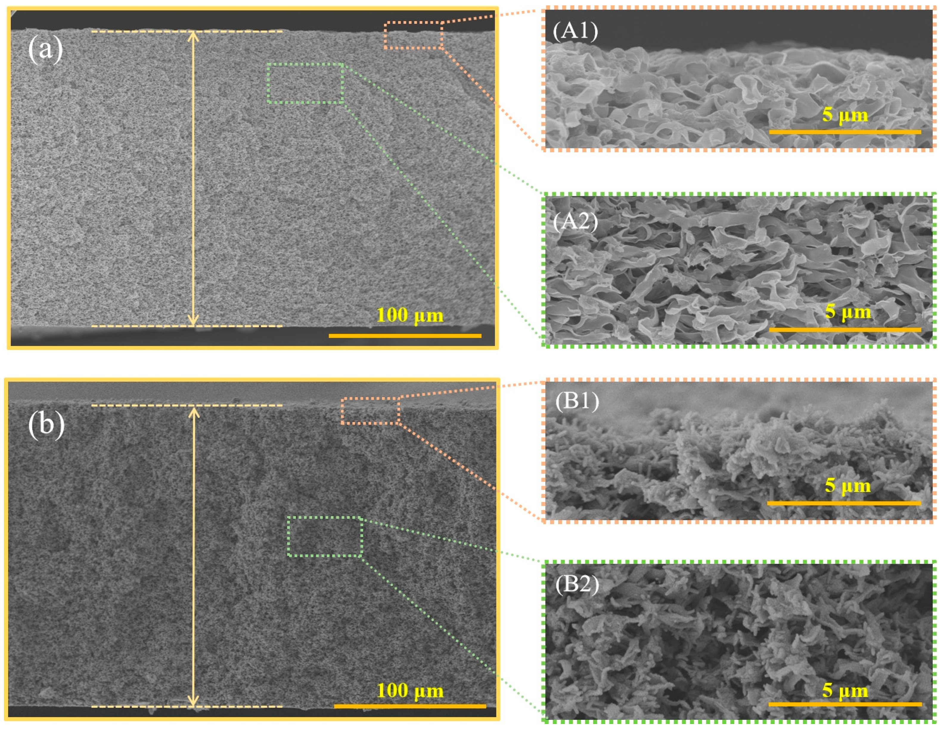 Coatings 15 00965 g003 Coatings 15 00965 g003