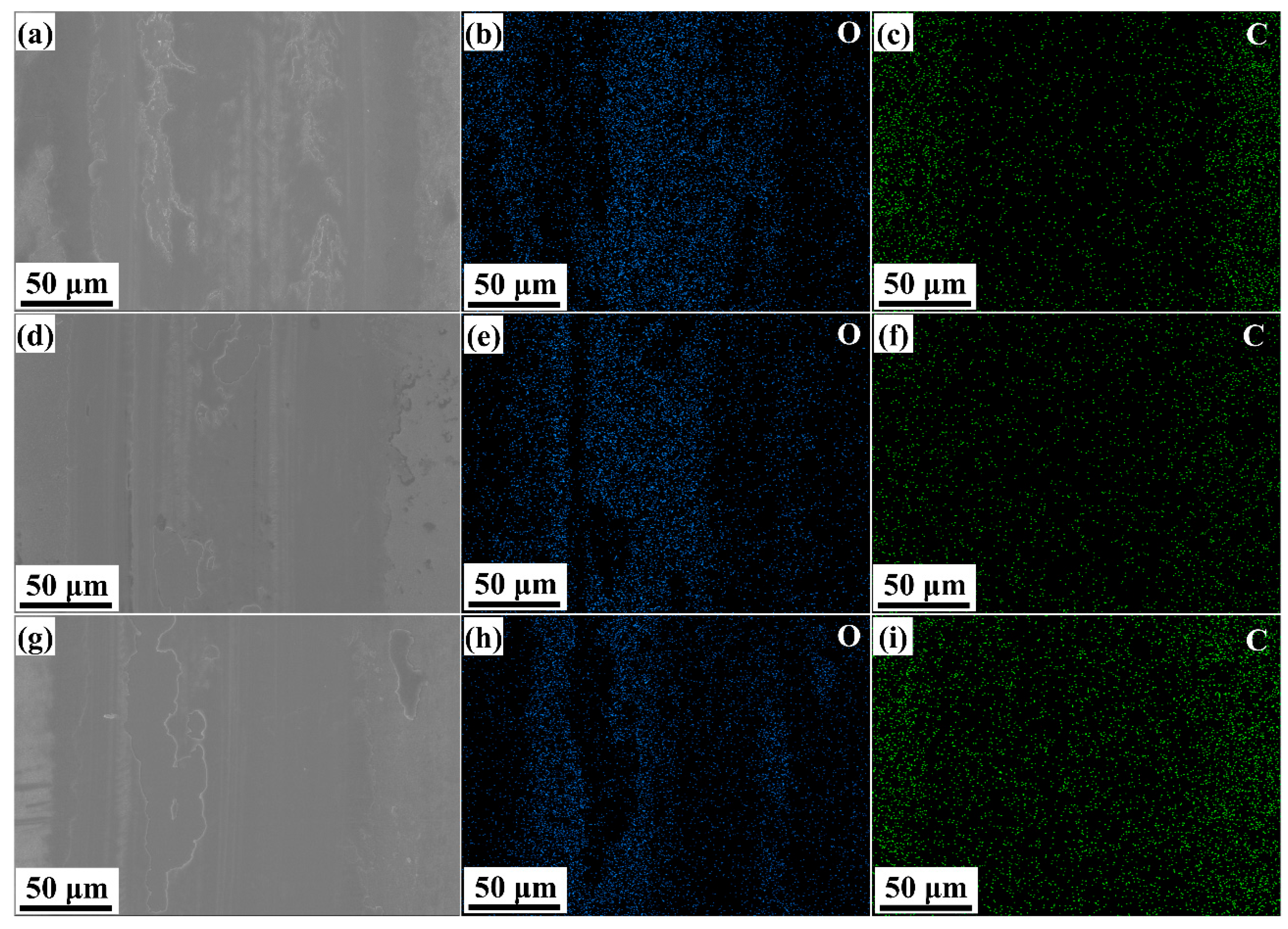Coatings 15 00966 g008