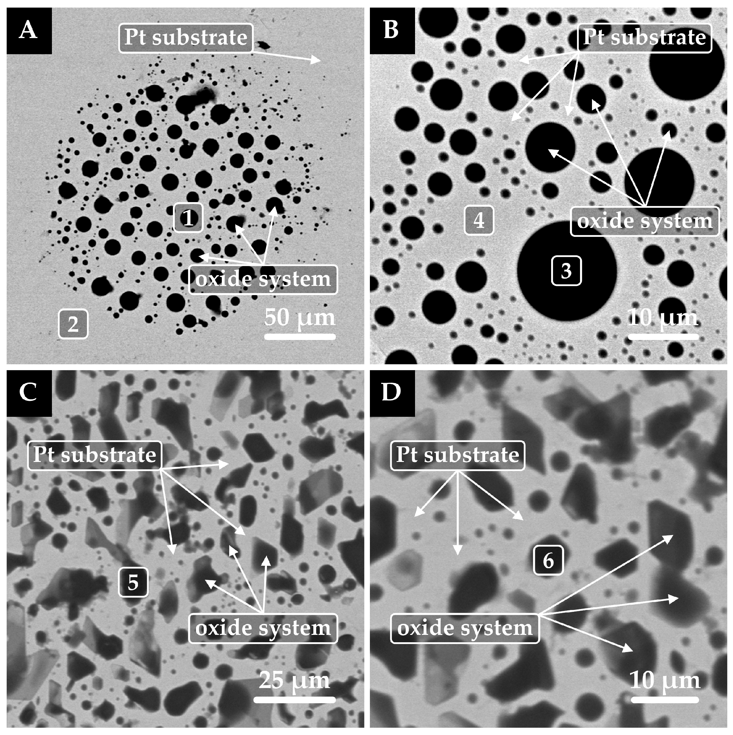 Coatings 15 00967 g004 Coatings 15 00967 g004
