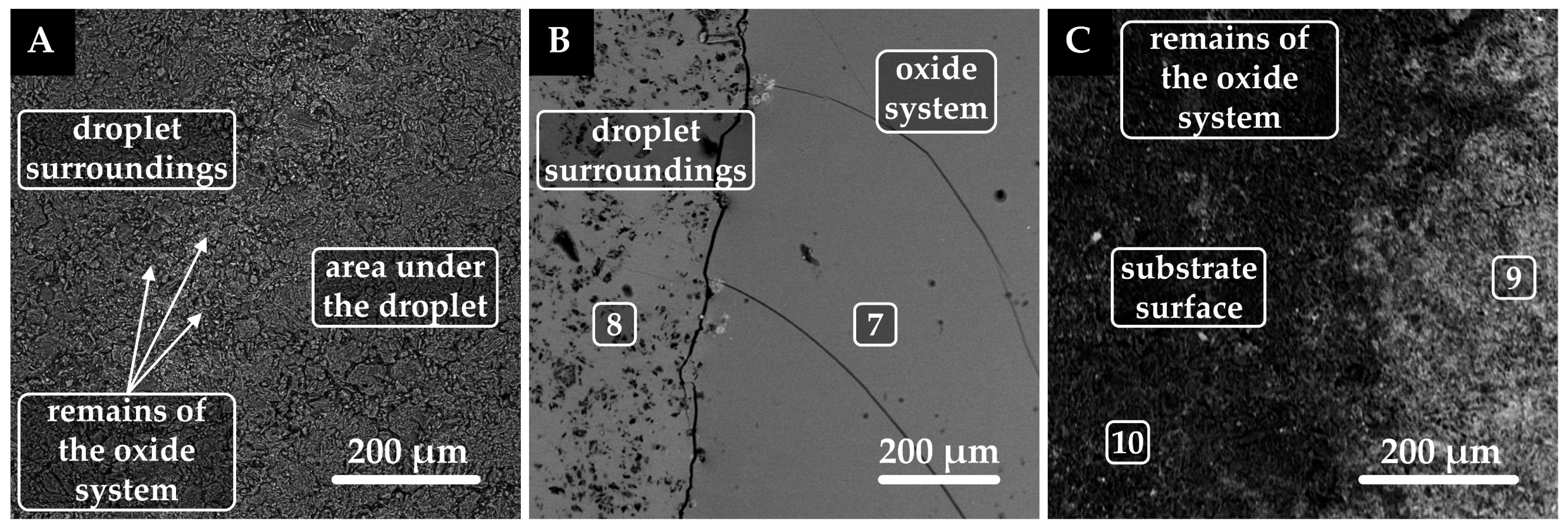 Coatings 15 00967 g005 Coatings 15 00967 g005