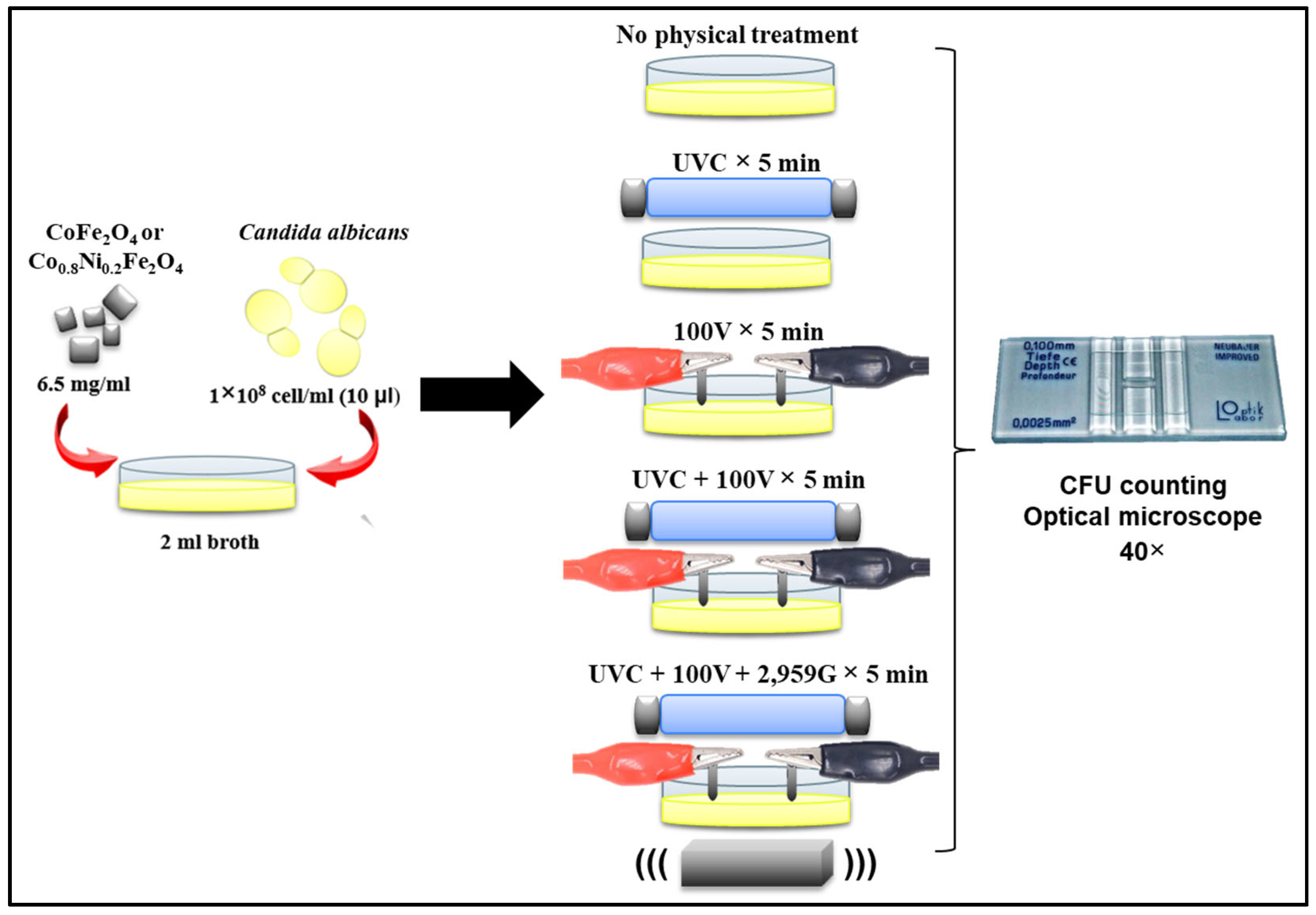 Coatings 15 00968 g002 Coatings 15 00968 g002
