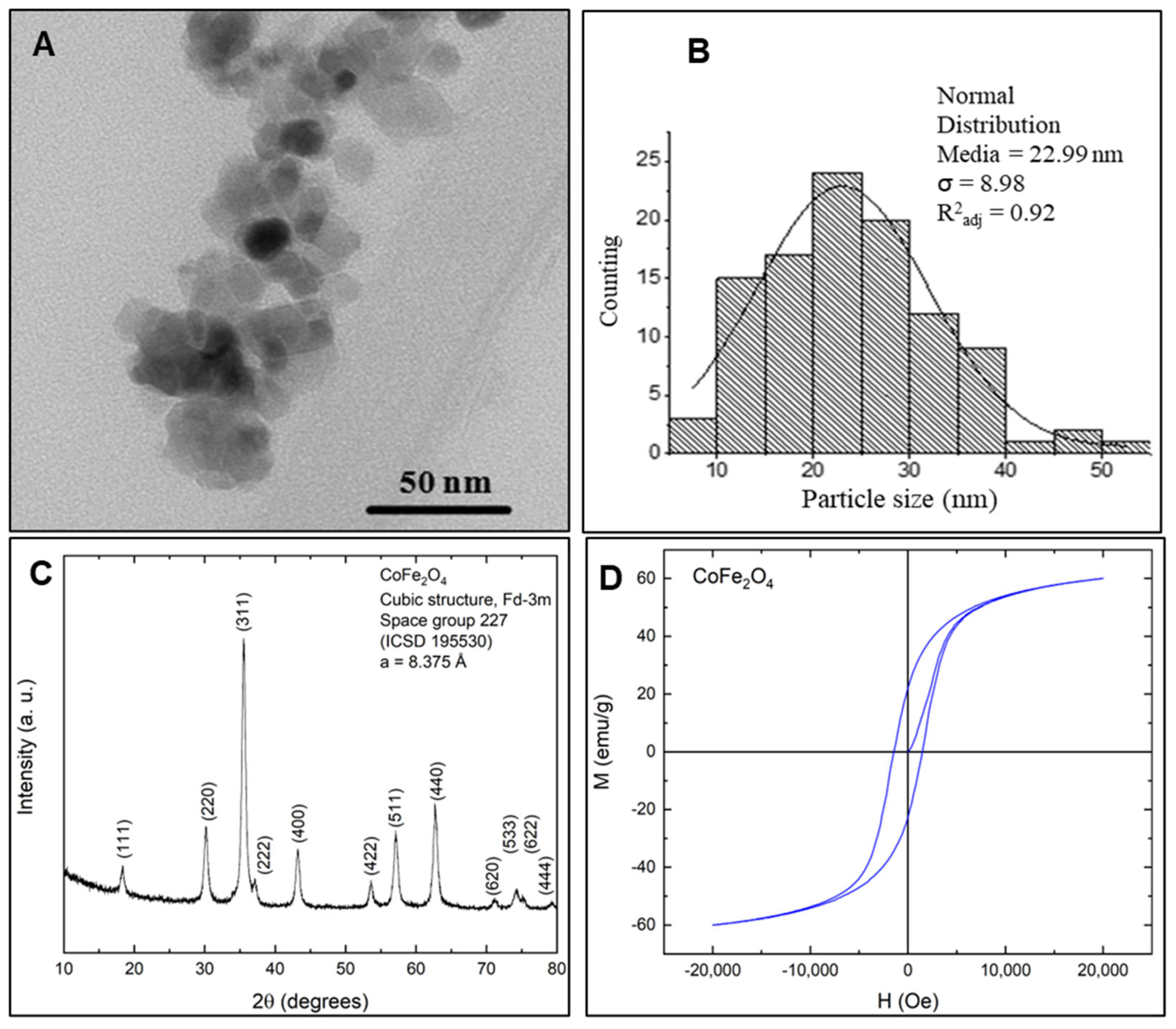 Coatings 15 00968 g004 Coatings 15 00968 g004