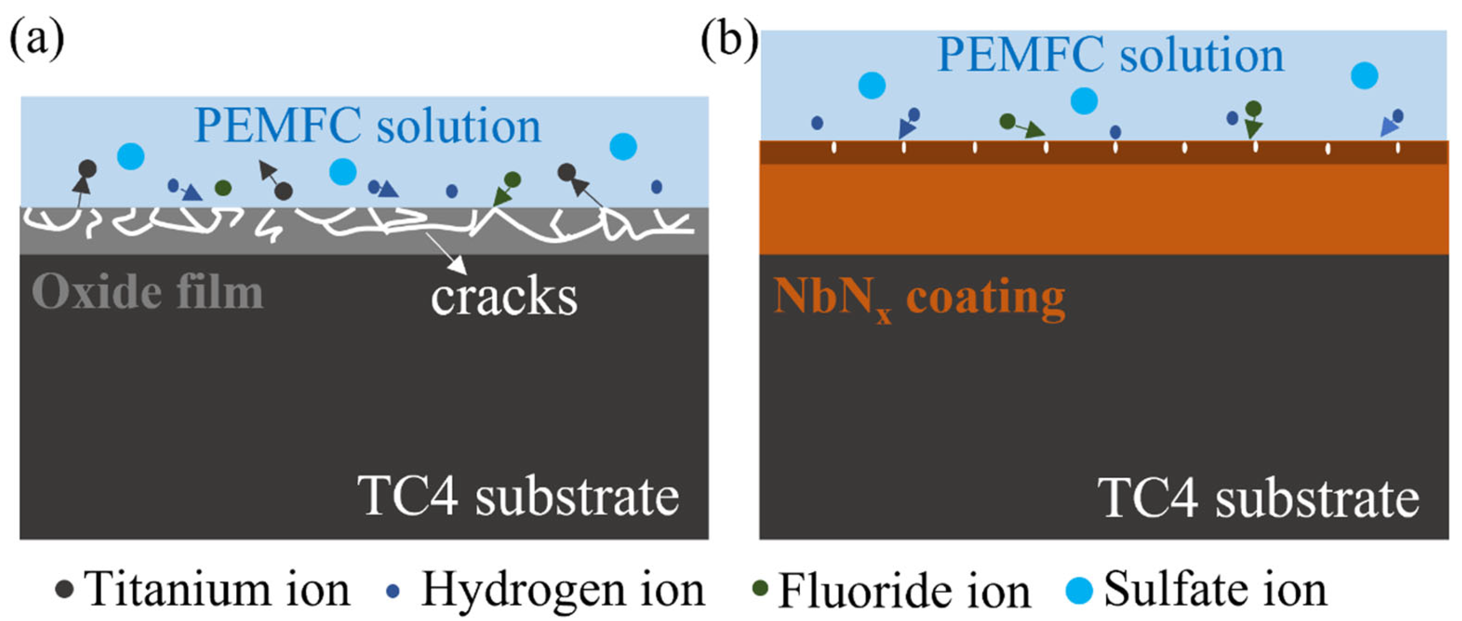Coatings 15 00973 g011 Coatings 15 00973 g011